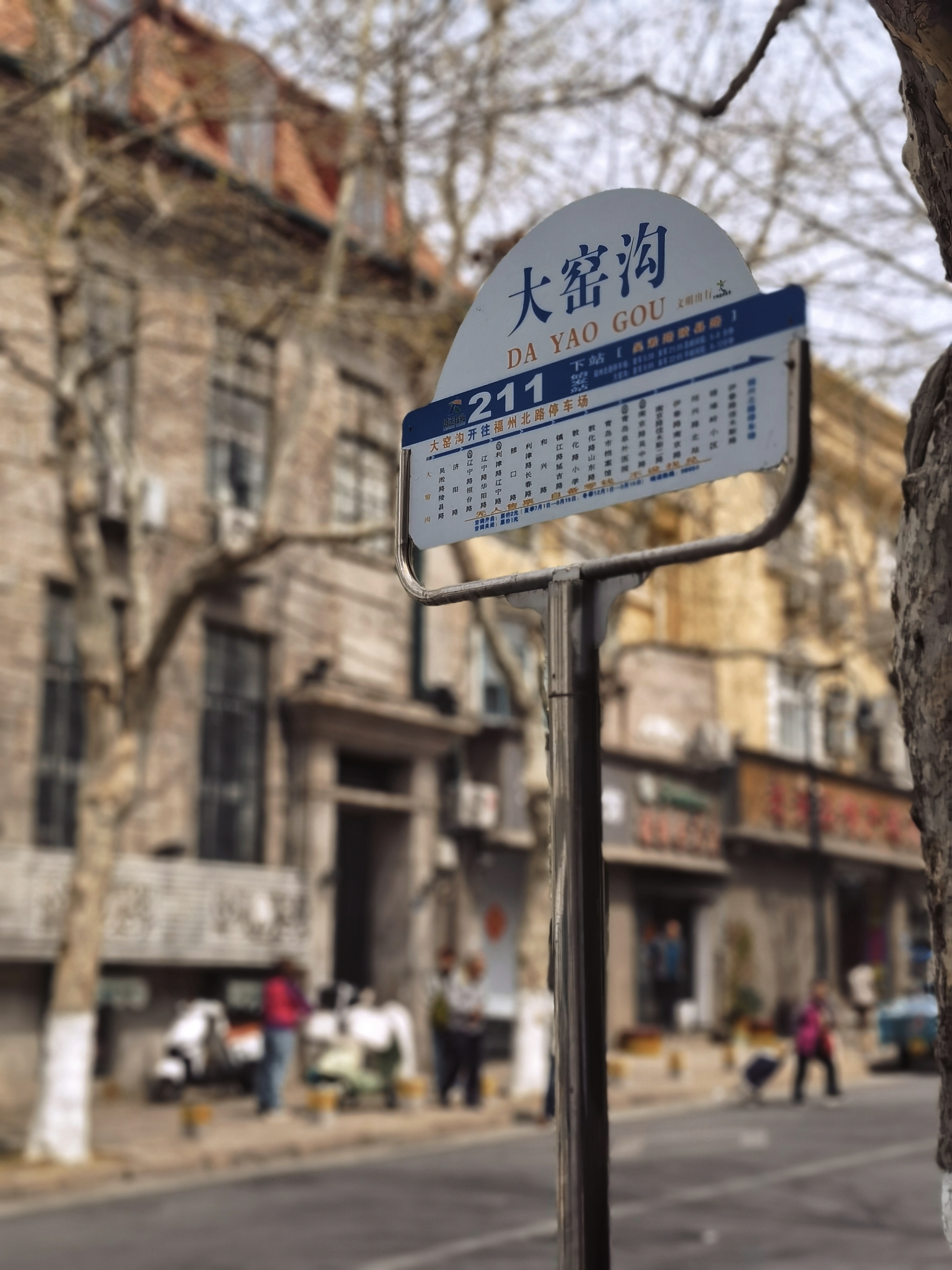 【青岛春日暴走日志】四天三夜：💨吹成海带的我们，与樱花撞个满怀🌸插图343