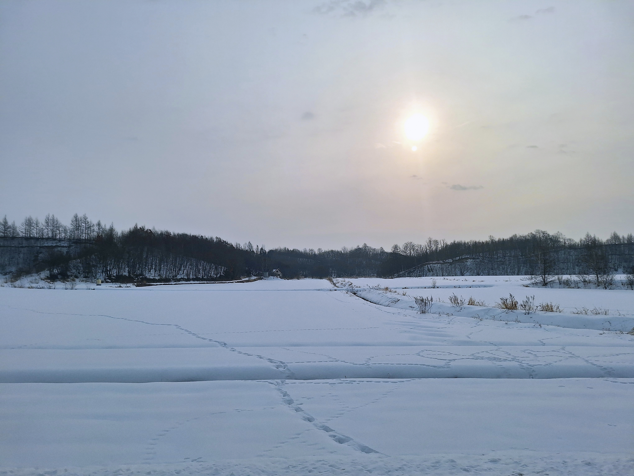 北海道自助遊攻略