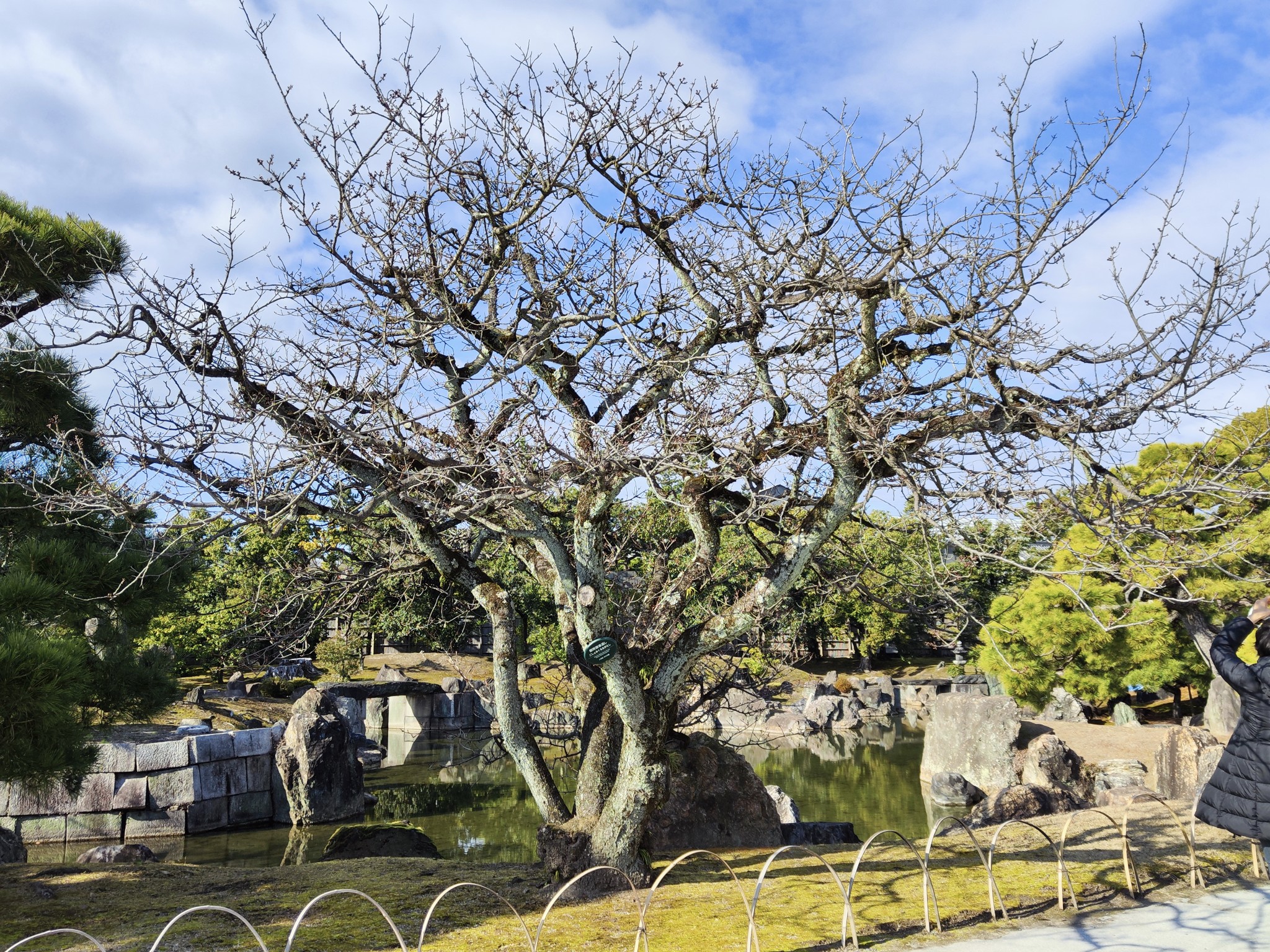 京都自助遊攻略