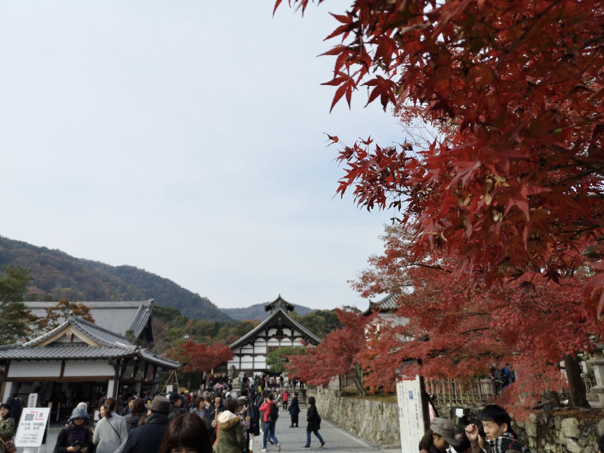 京都自助遊攻略