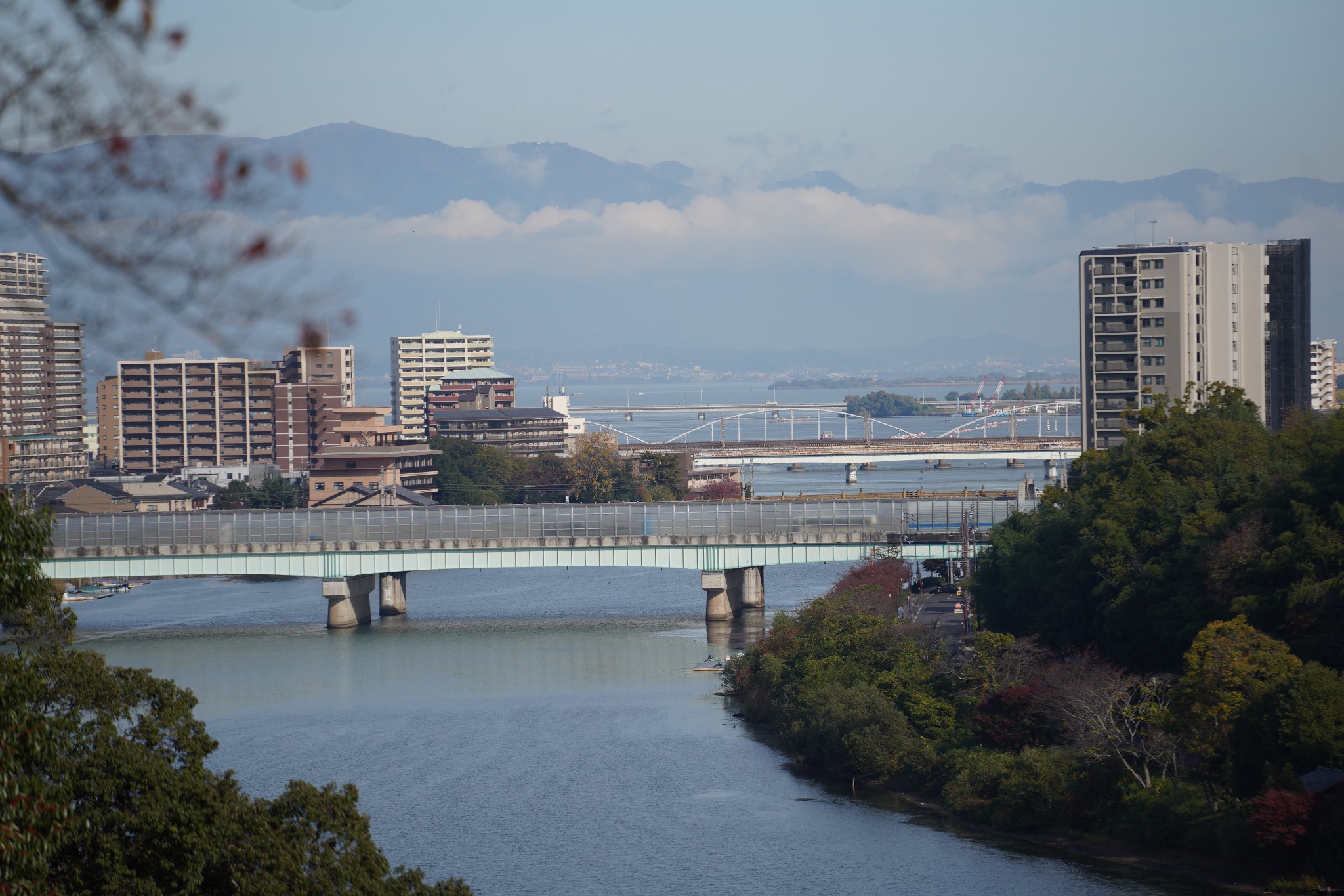 京都自助遊攻略