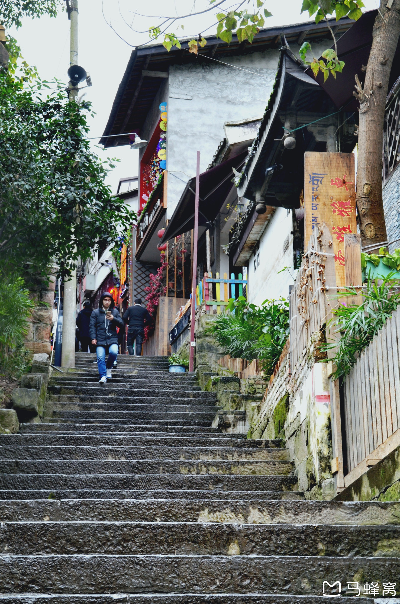 十二月成都重慶逛吃雙城記內附瀘沽湖碧峰峽稻城亞丁九寨溝