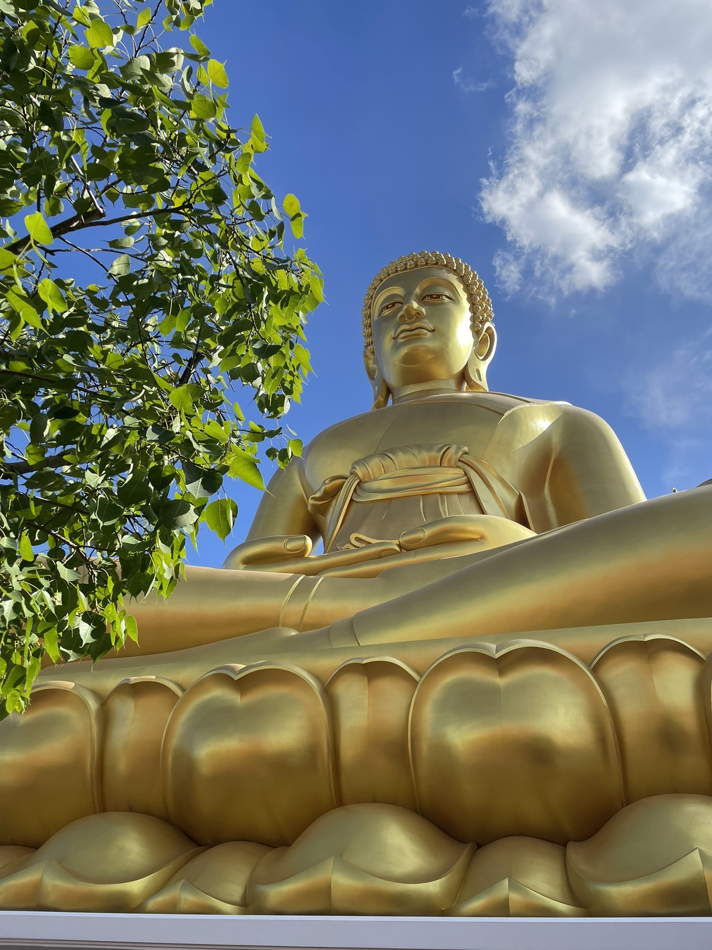 水门寺03sunan shop99乍都乍周末市场99廊曼区wattananan市场