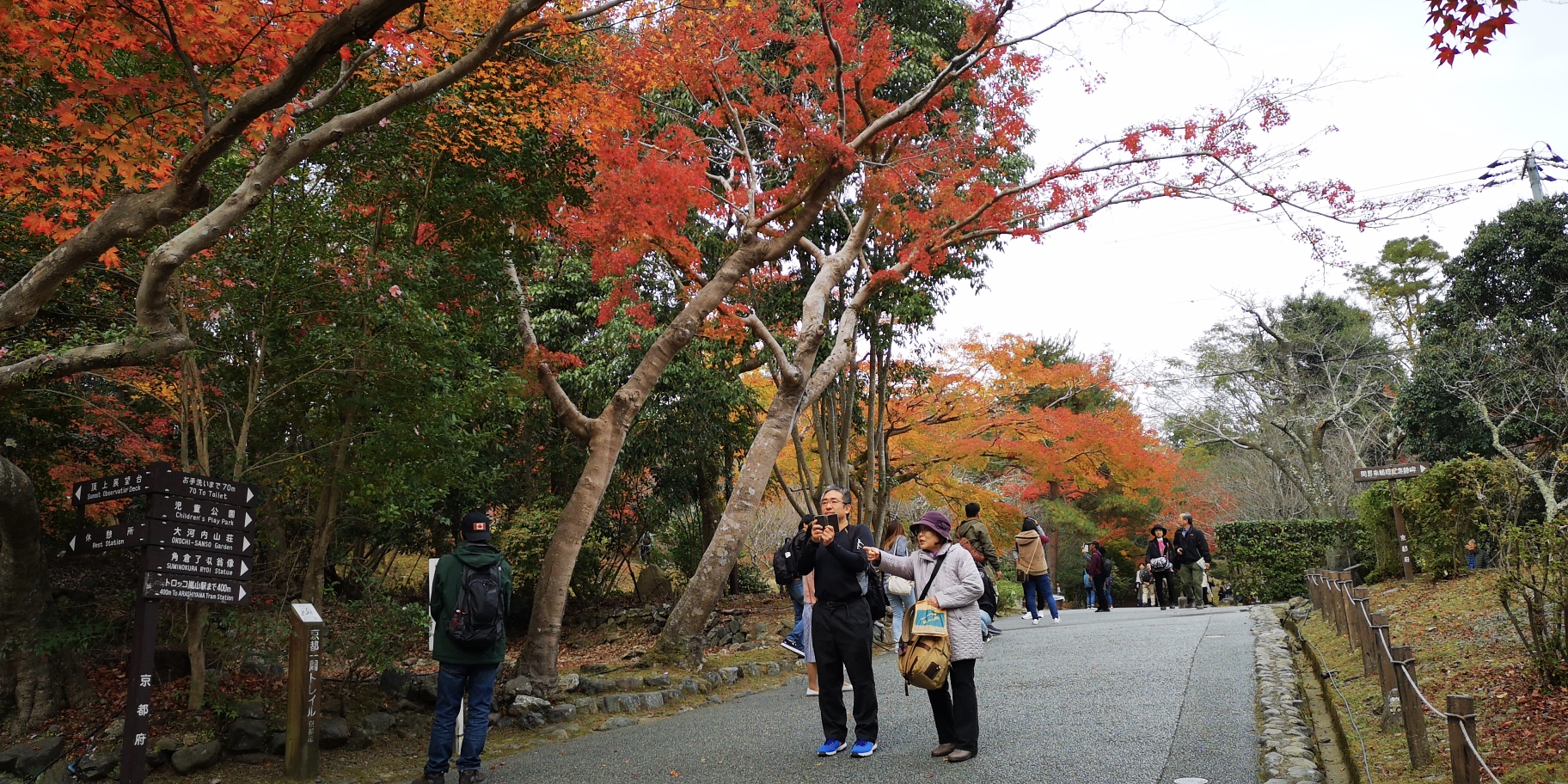 京都自助遊攻略