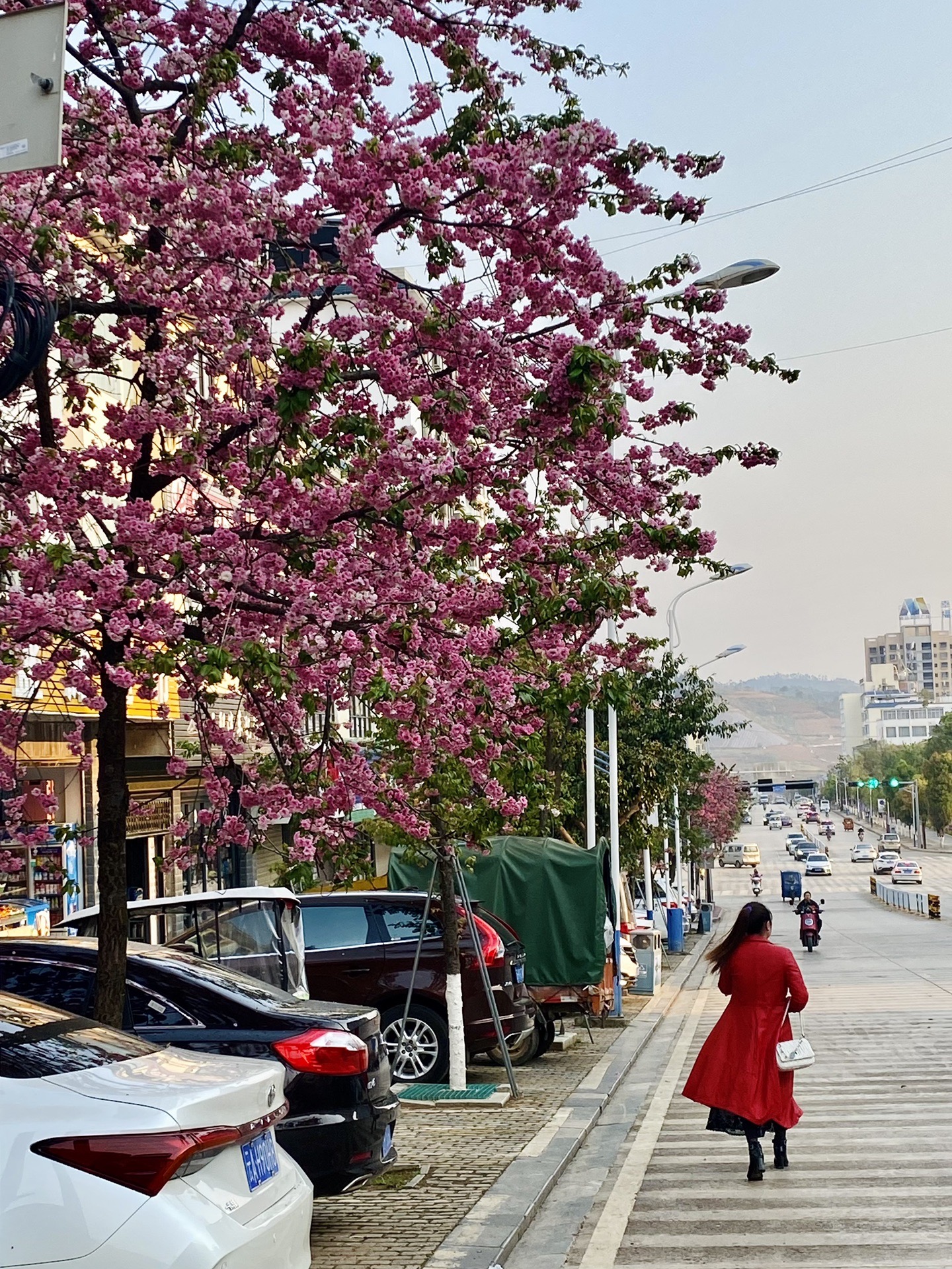 文山彩标桃园基地