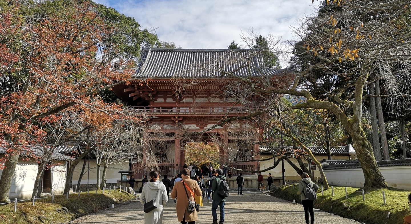 京都自助遊攻略