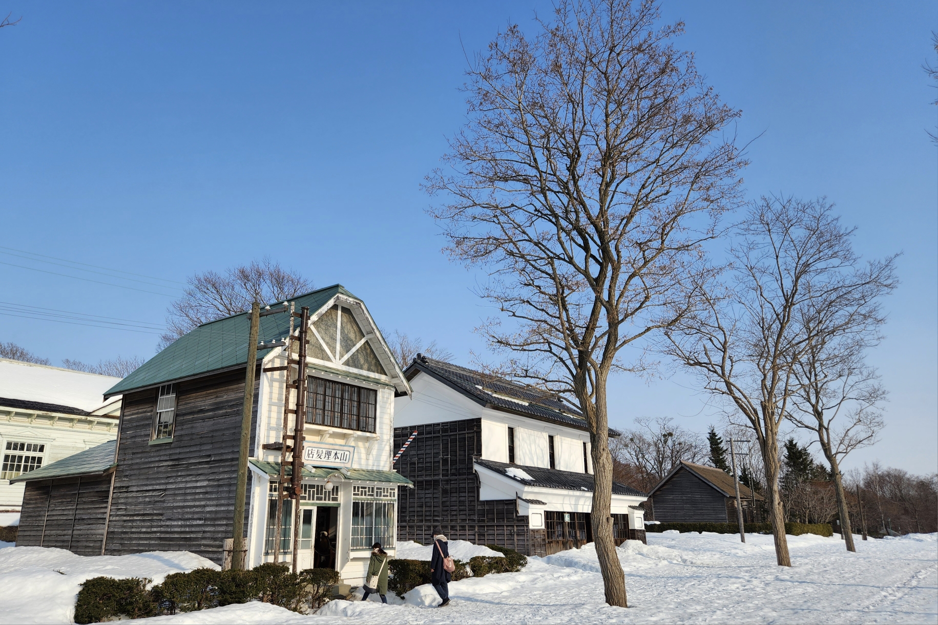 北海道自助遊攻略