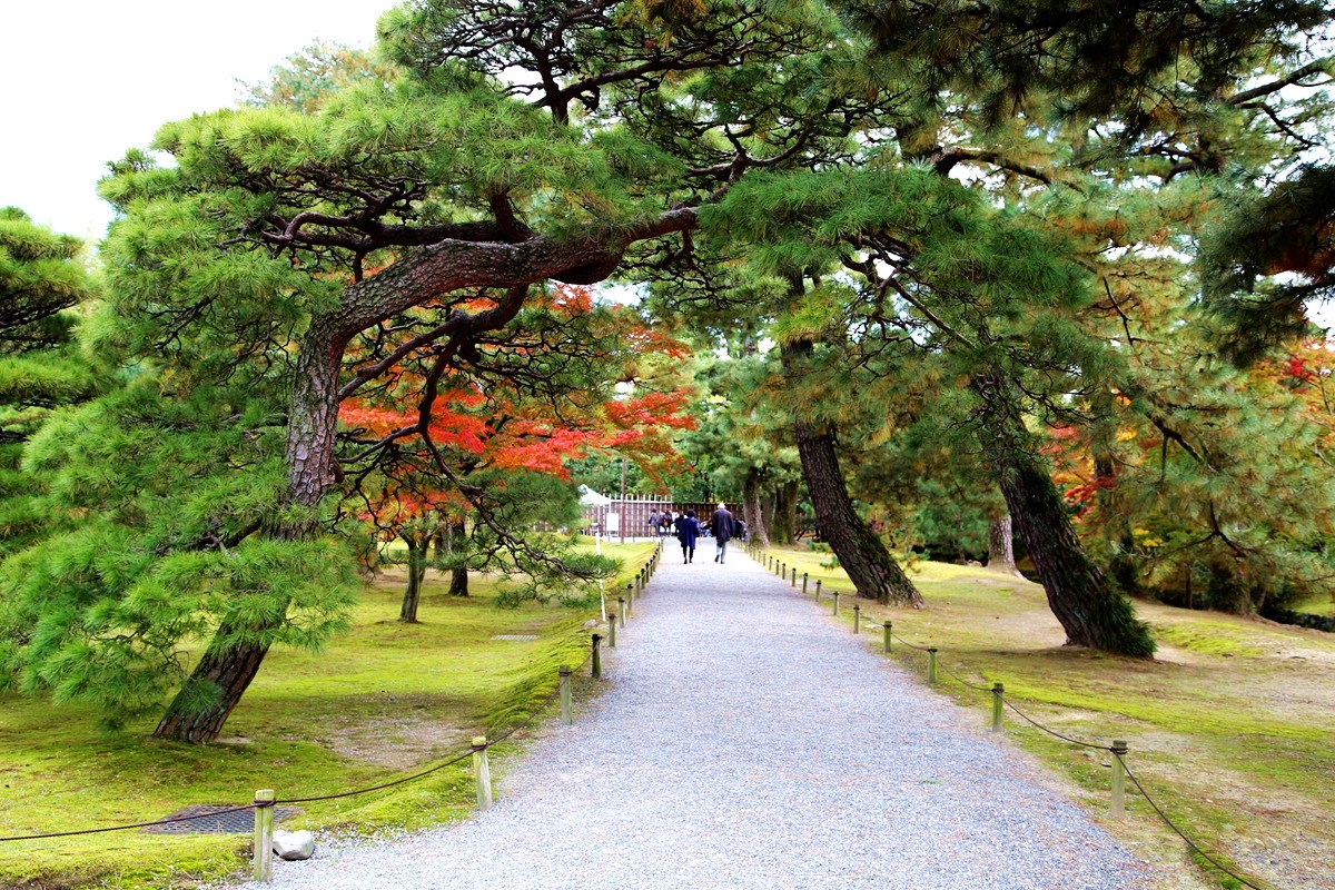 京都自助遊攻略