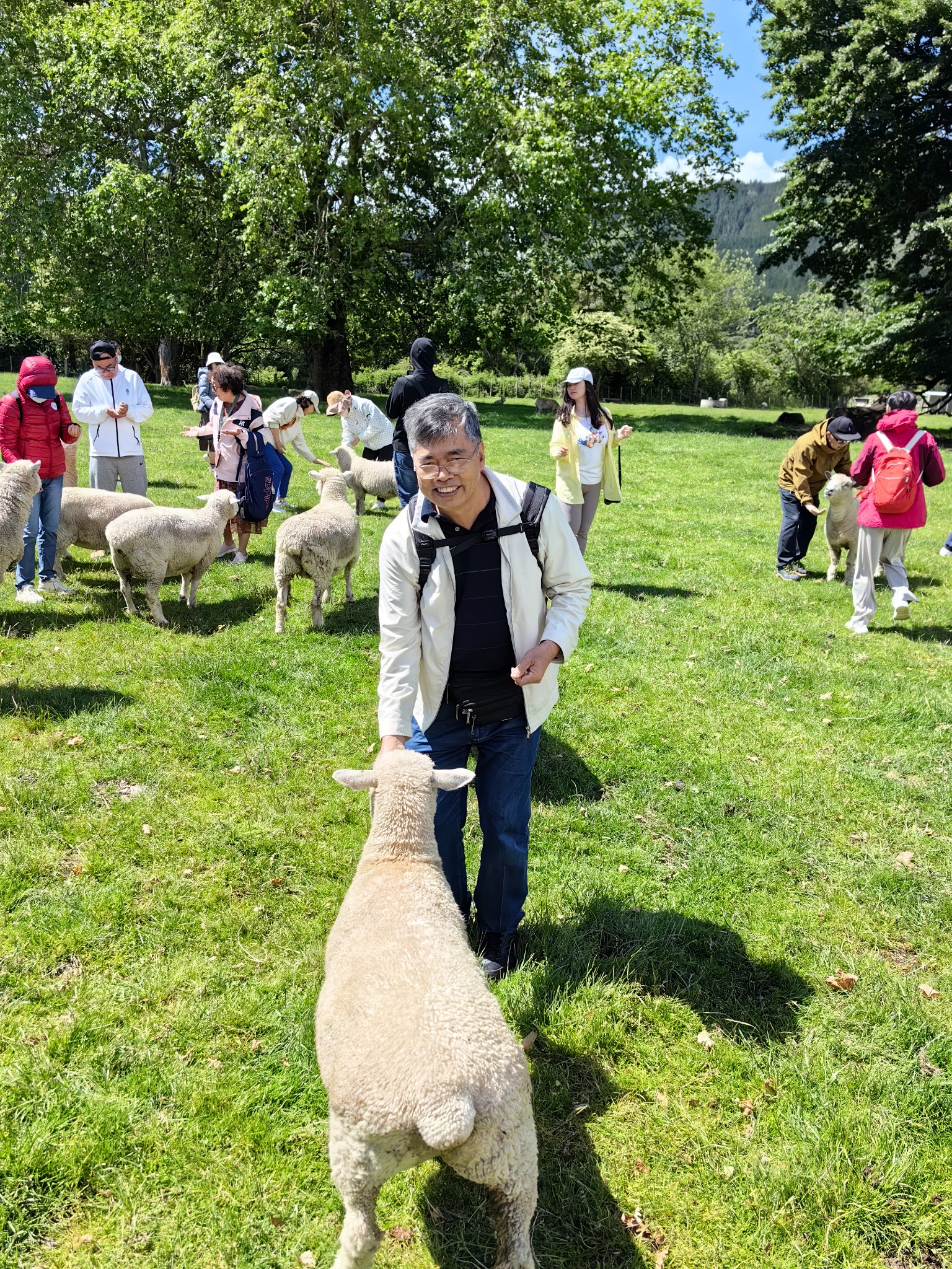 新西蘭自助遊攻略