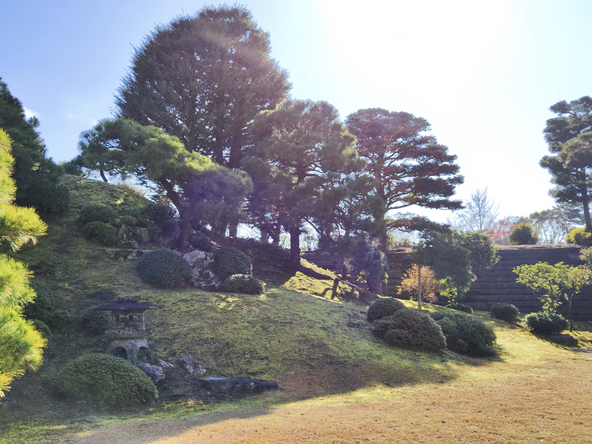 京都自助遊攻略