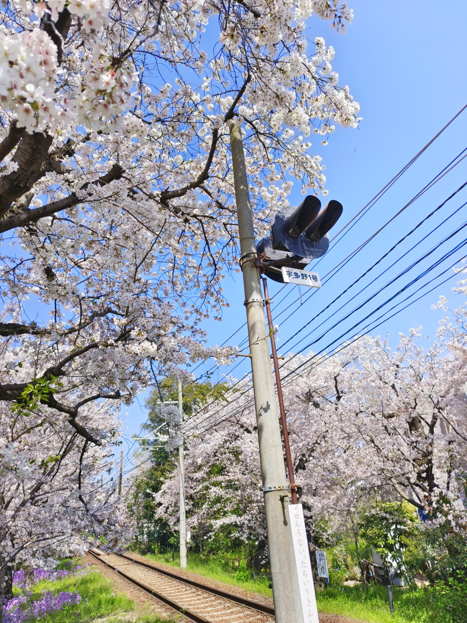 日本自助遊攻略