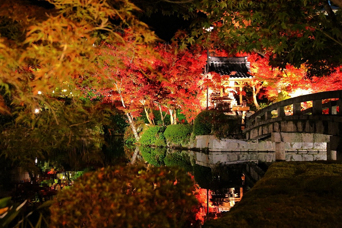 京都自助遊攻略