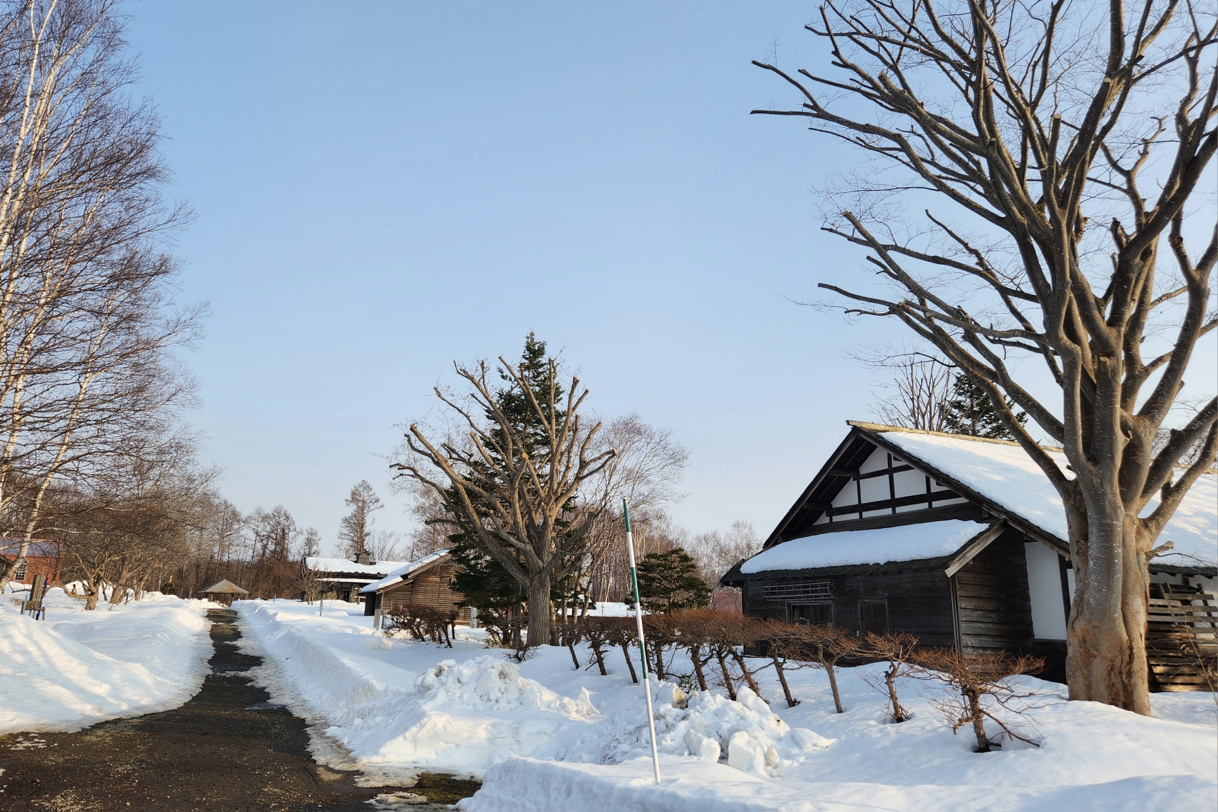 北海道自助遊攻略