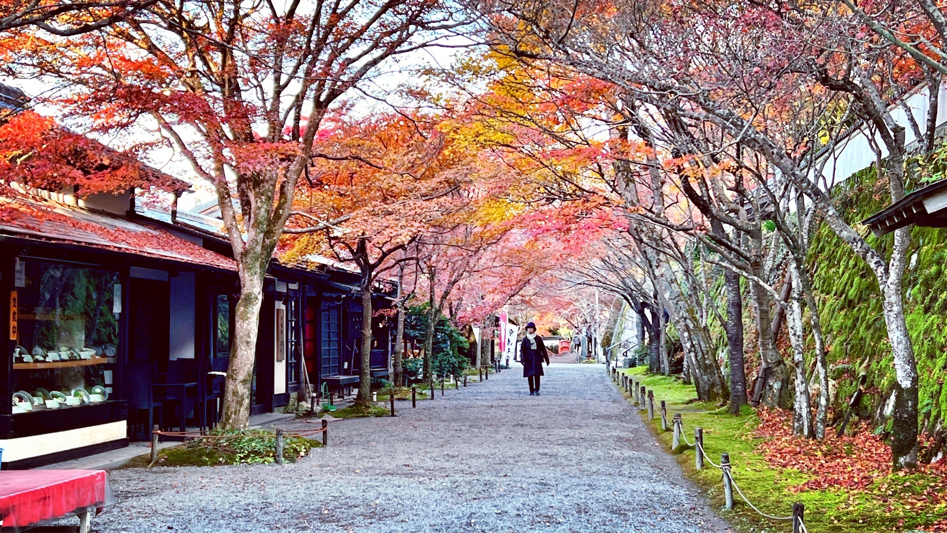 京都自助遊攻略