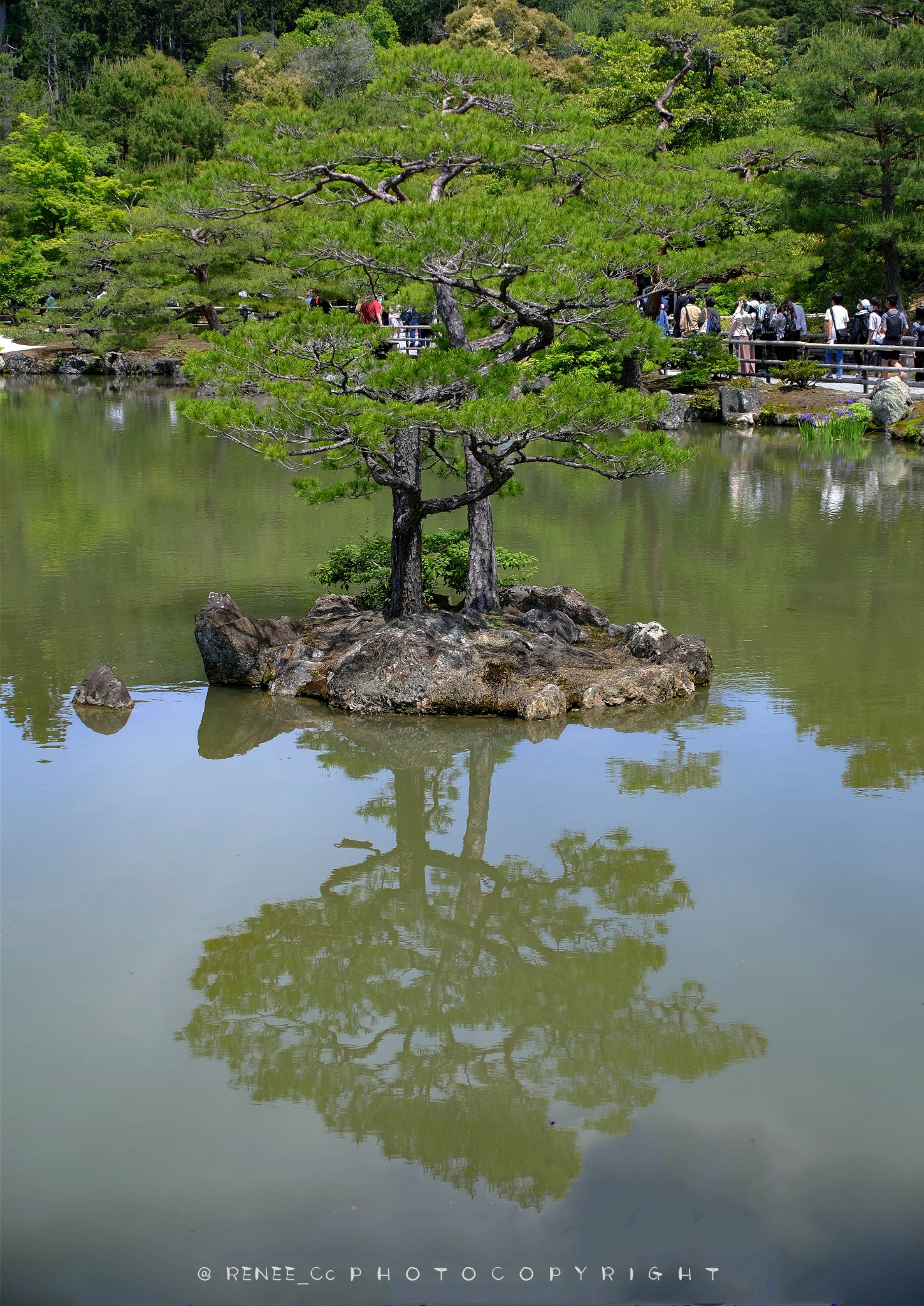 京都自助遊攻略