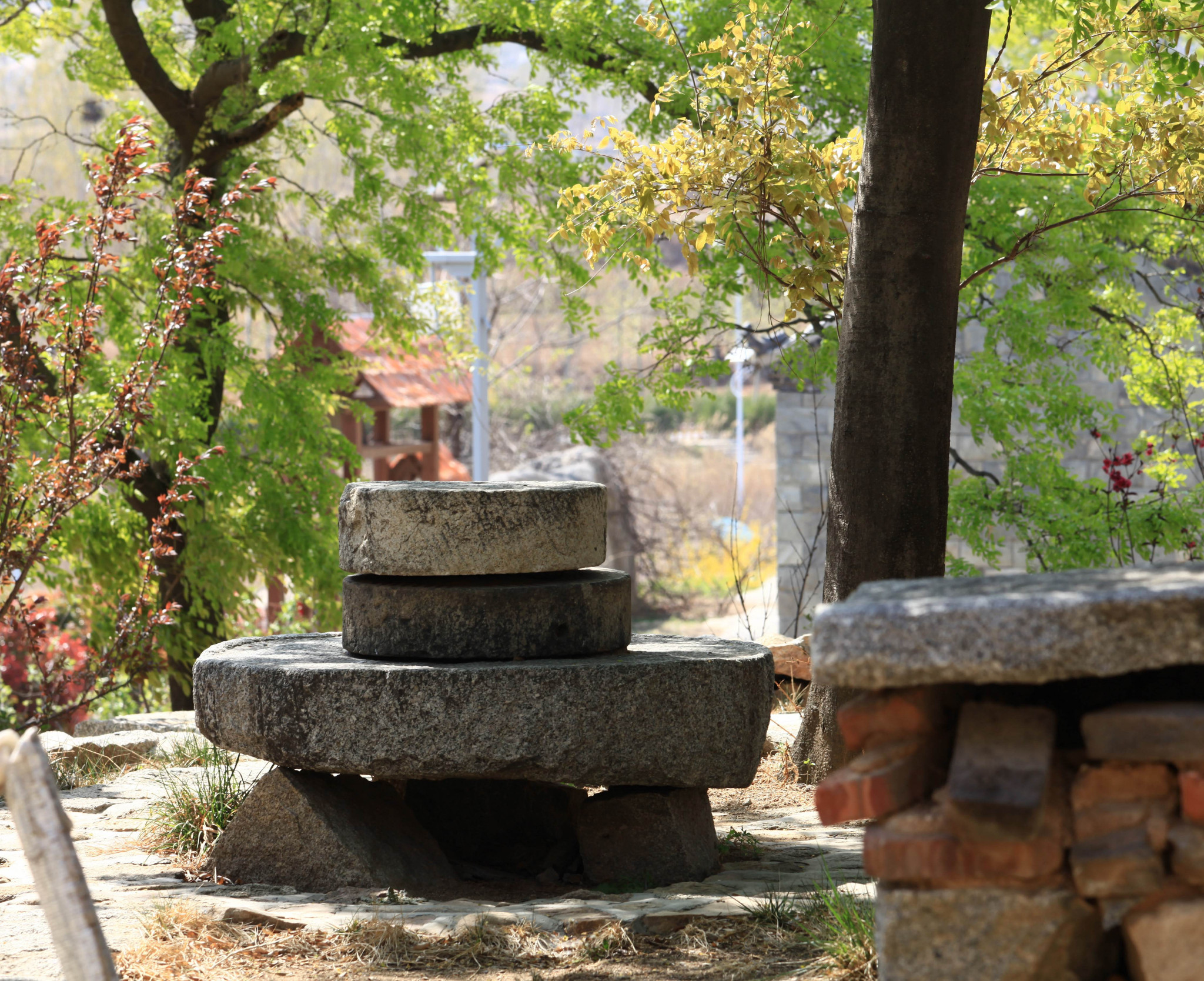 邹城桐花秧村景点图片