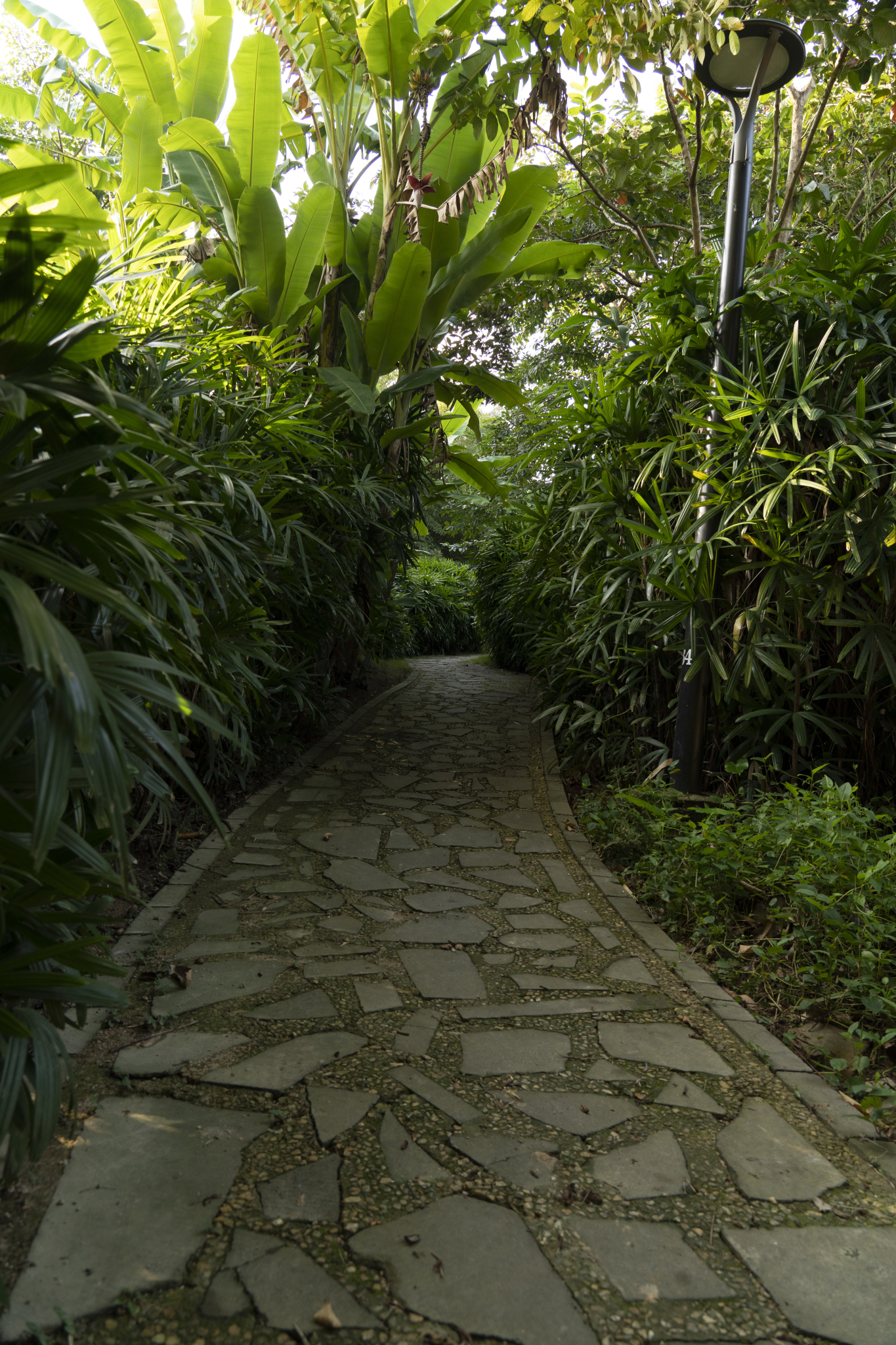 湛江市霞山区公园