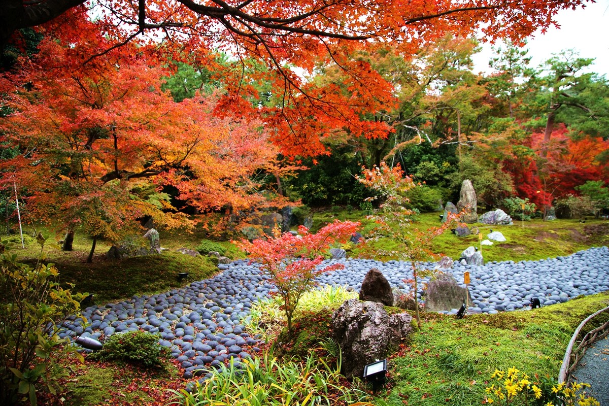 京都自助遊攻略