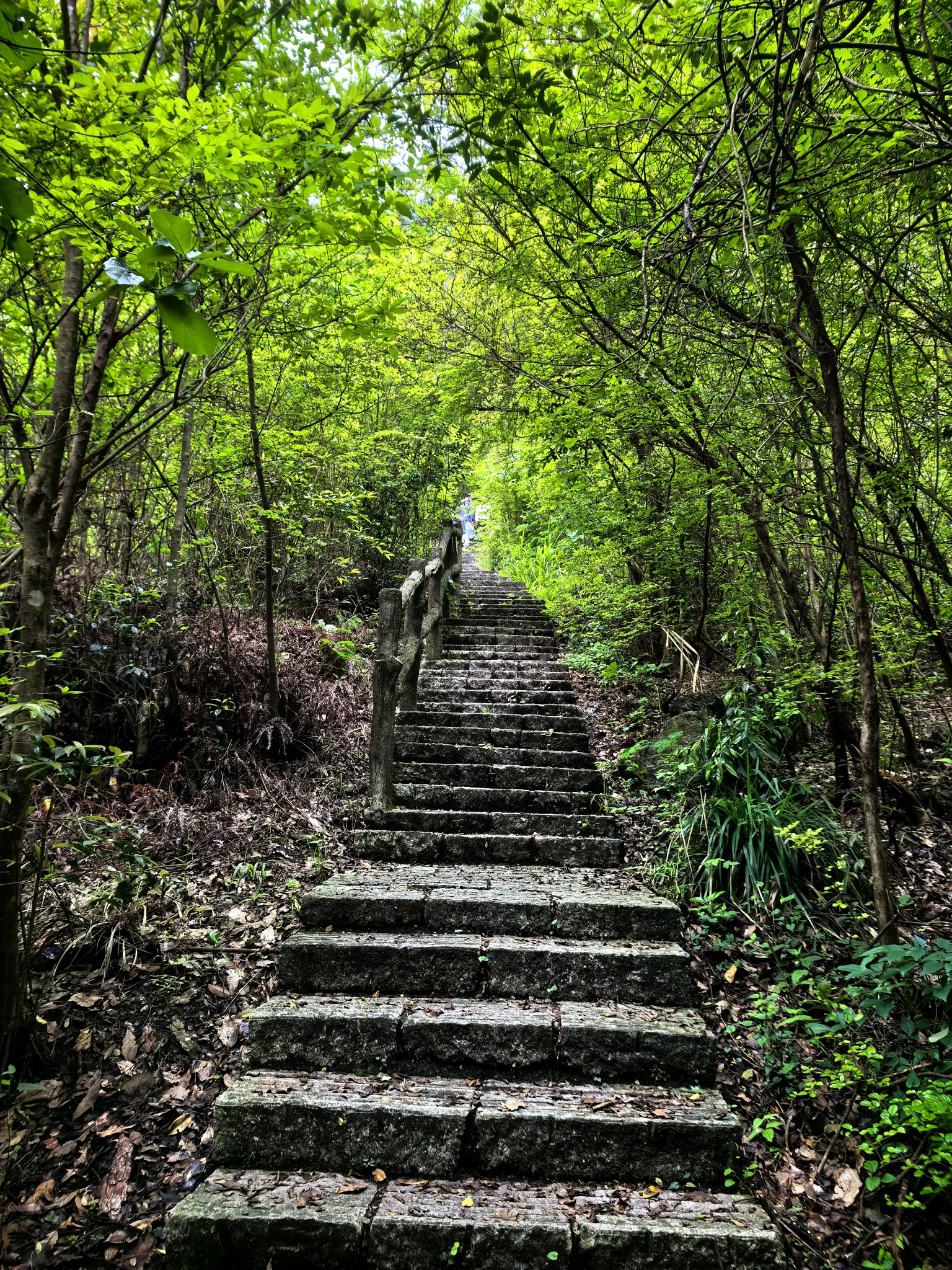 衢州龙游天池荷花景区附近的天池山,龙游旅游攻略 - 马蜂窝