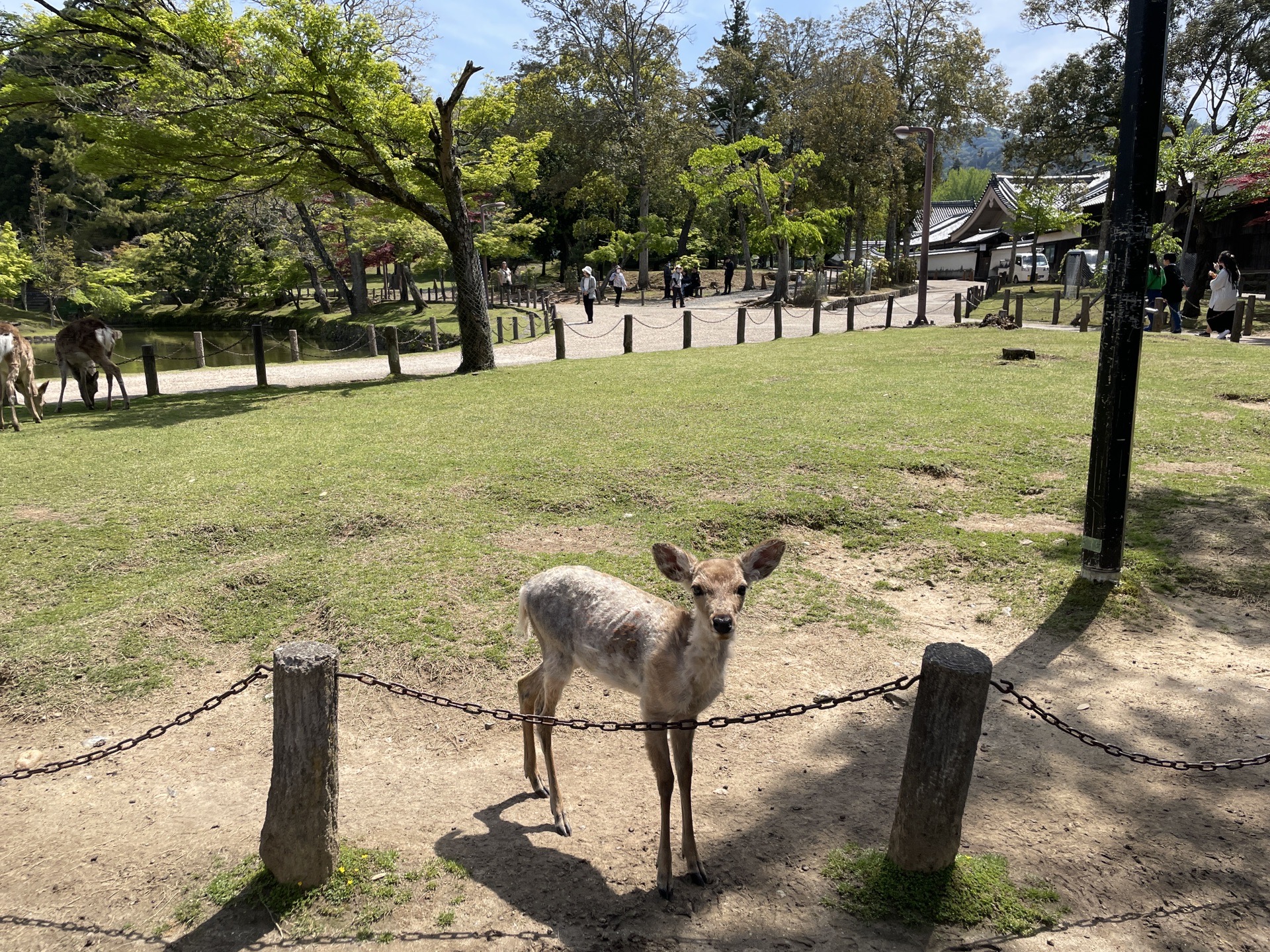 日本自助遊攻略