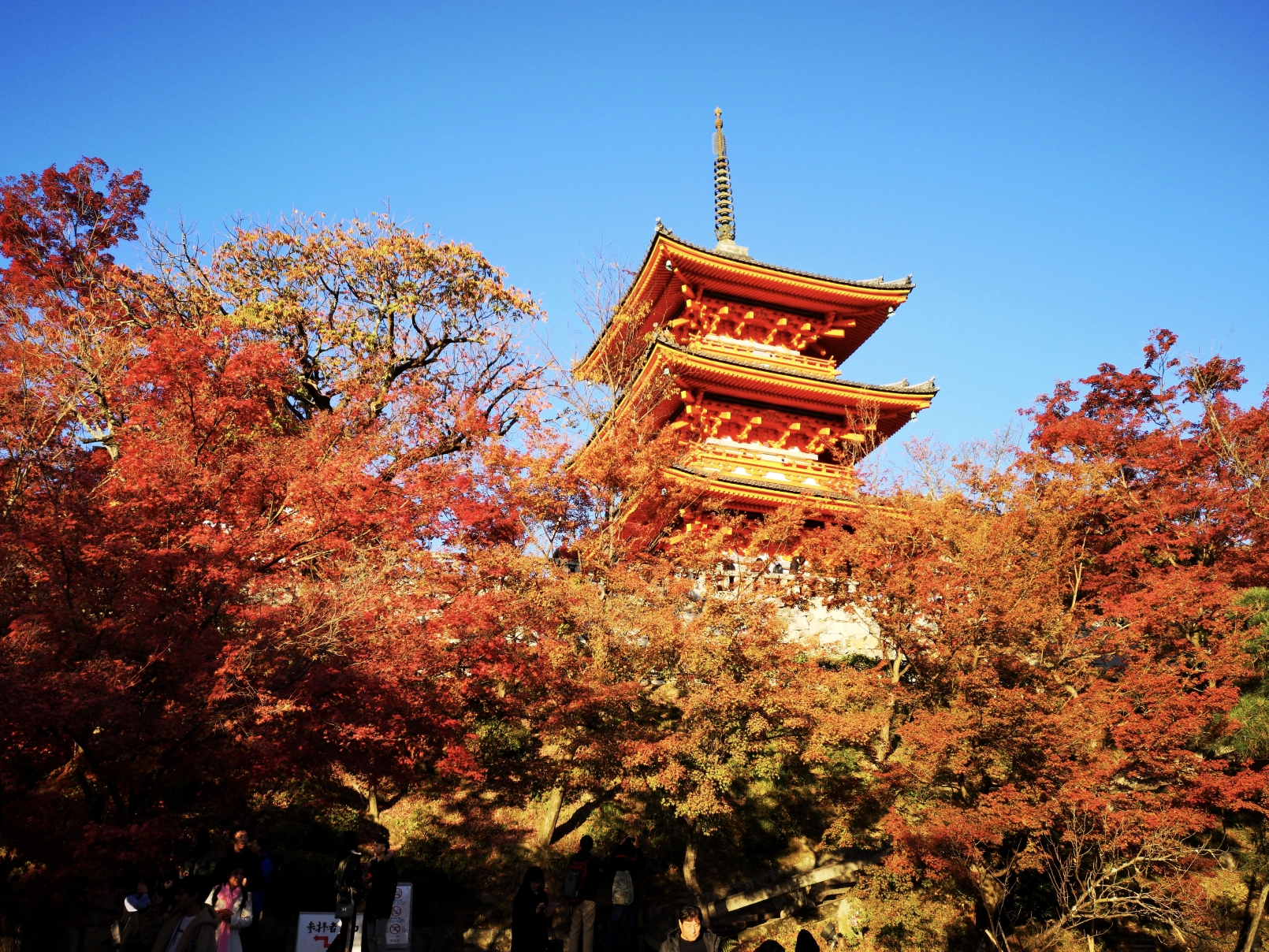 京都自助遊攻略