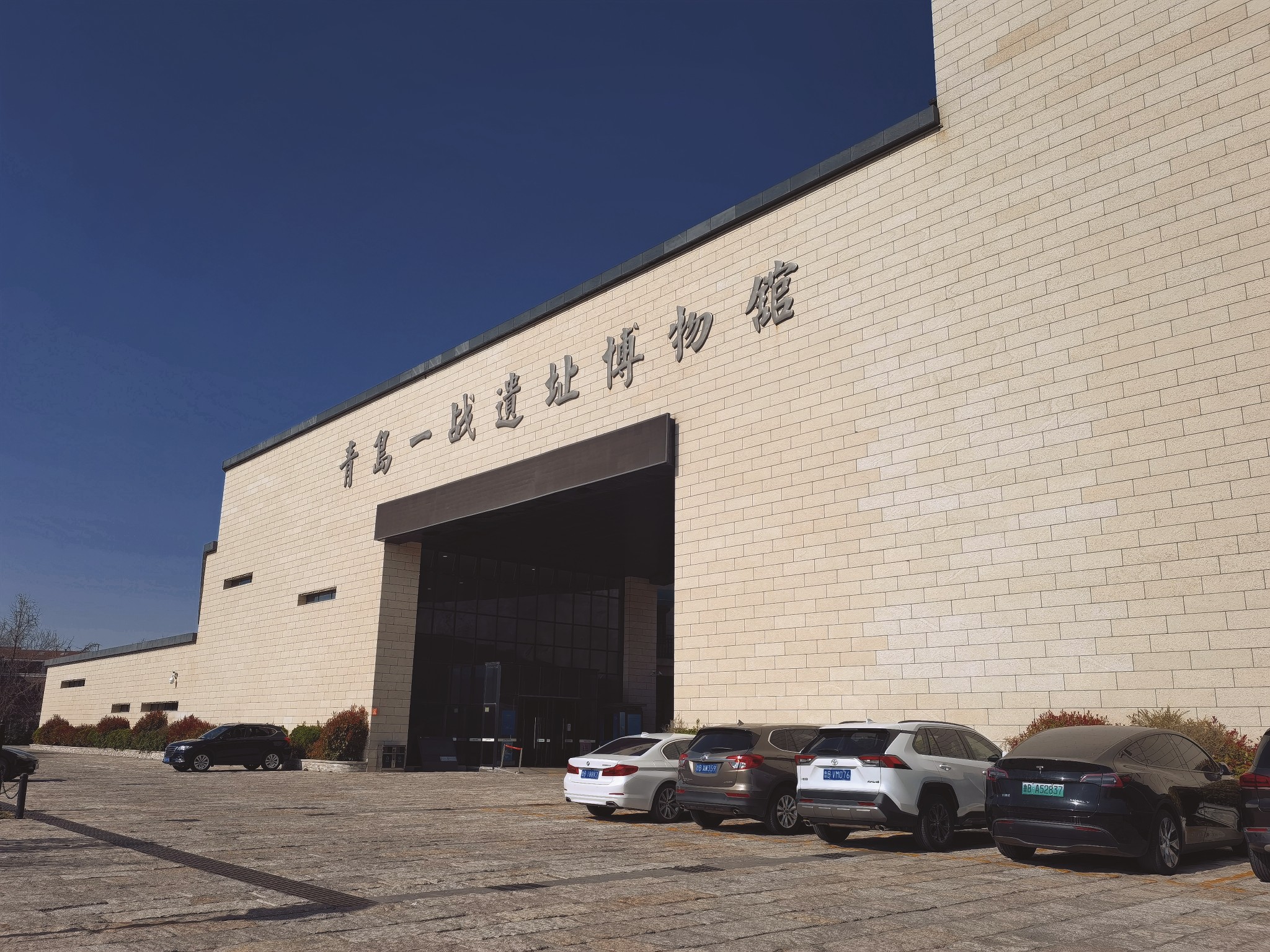 【青岛春日暴走日志】四天三夜：💨吹成海带的我们，与樱花撞个满怀🌸插图167