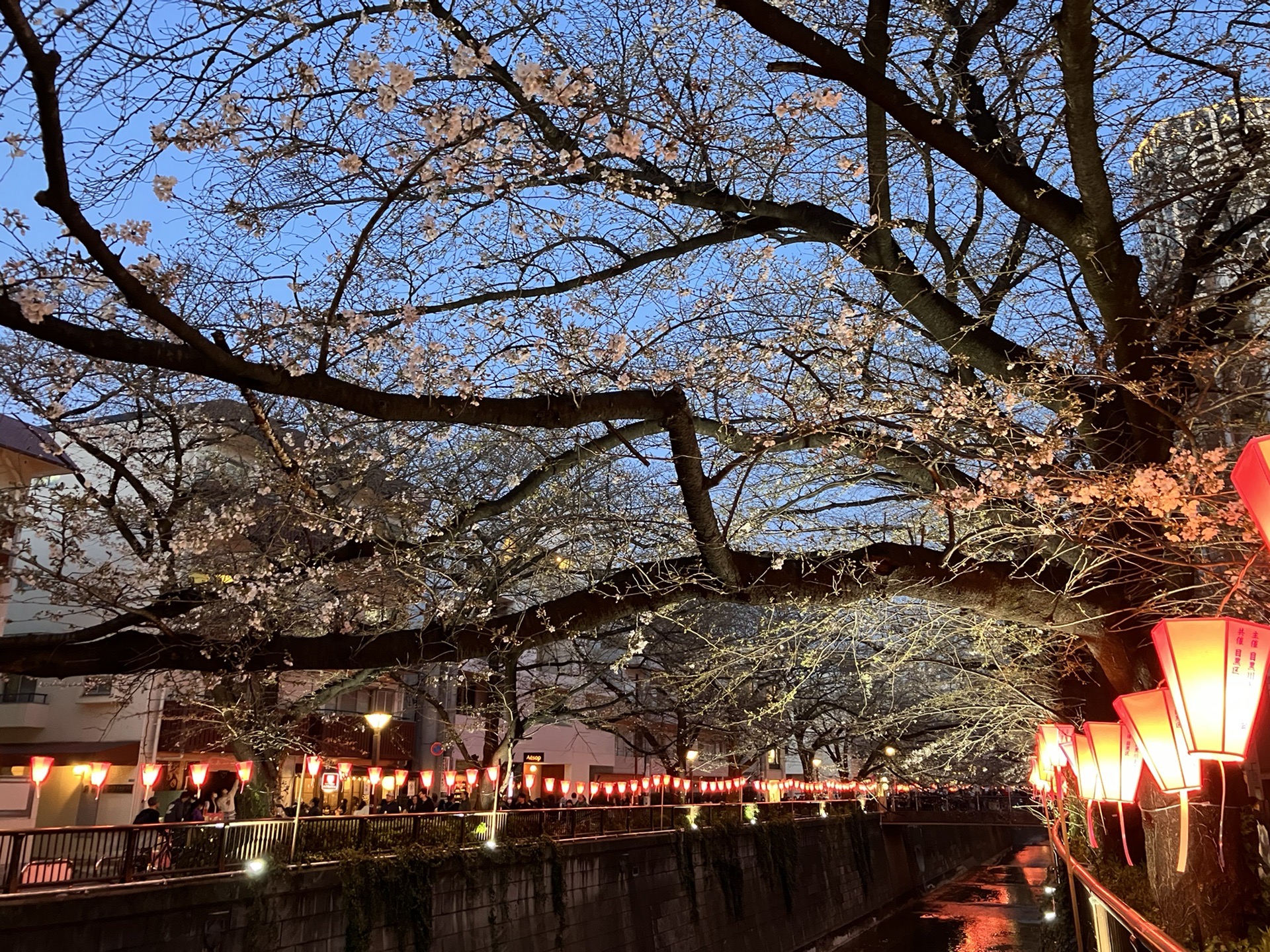 東京自助遊攻略