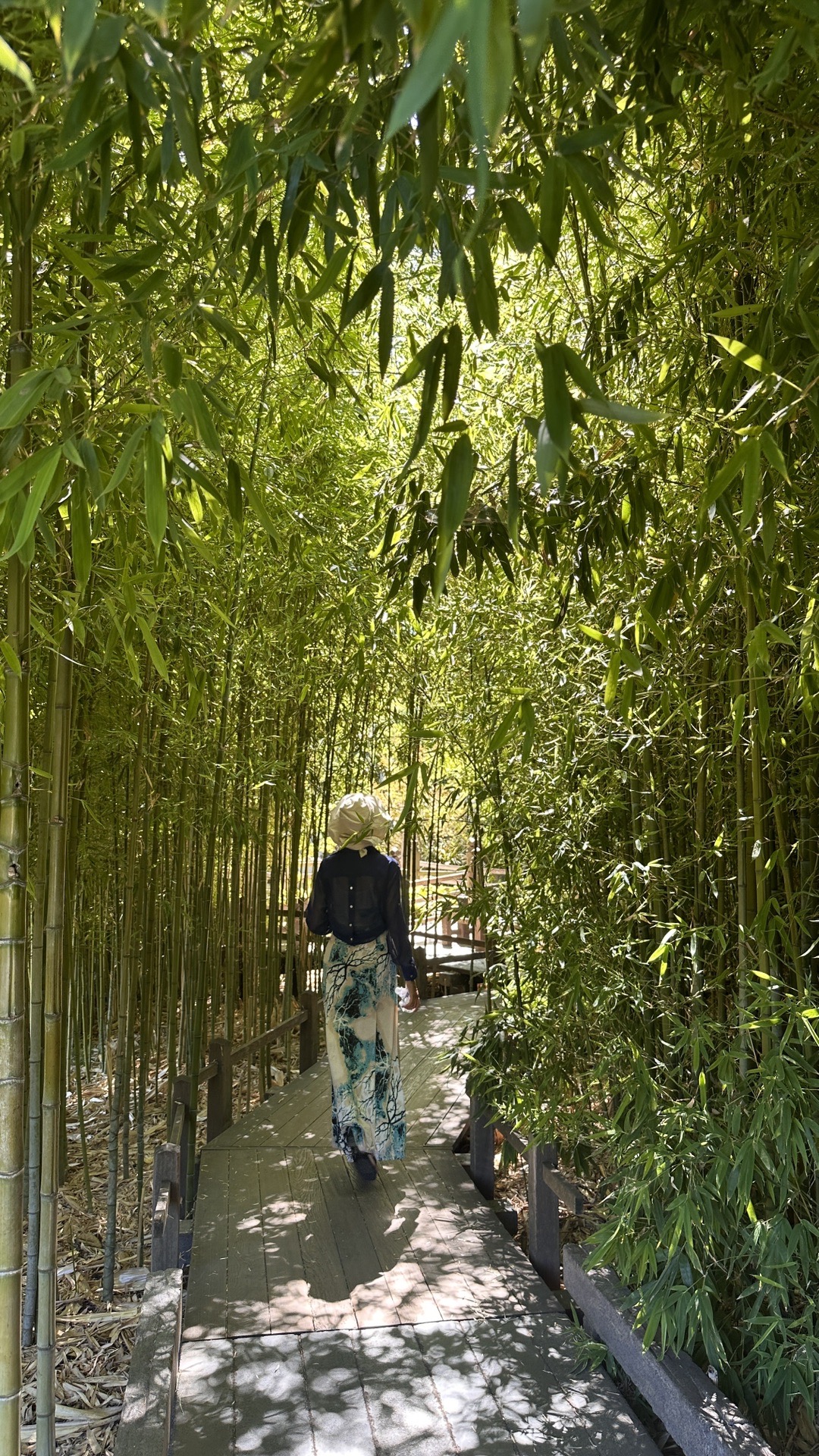 洛杉磯自助遊攻略