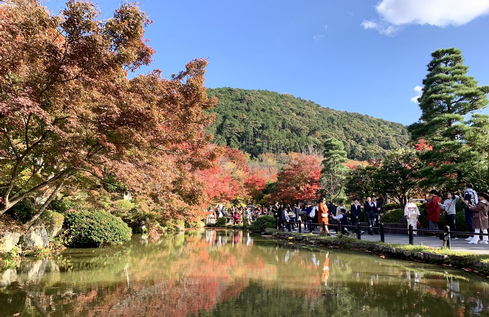 京都自助遊攻略