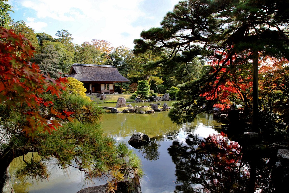 京都自助遊攻略