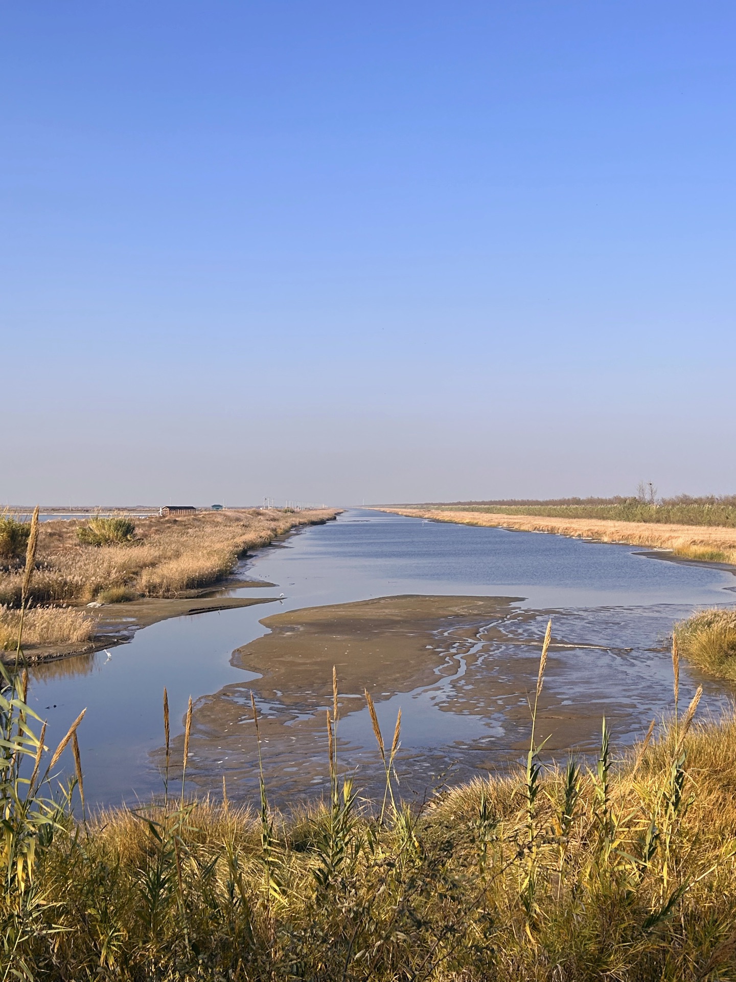 盐城大丰寻迹游