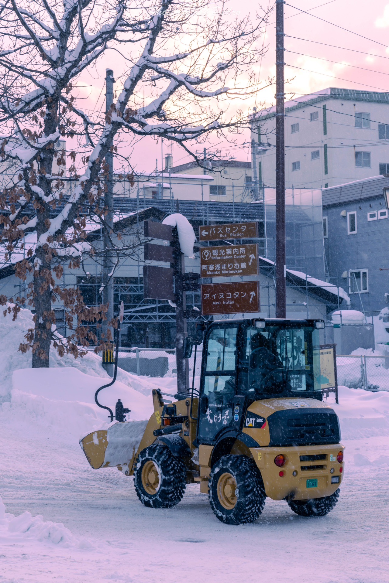 北海道自助遊攻略