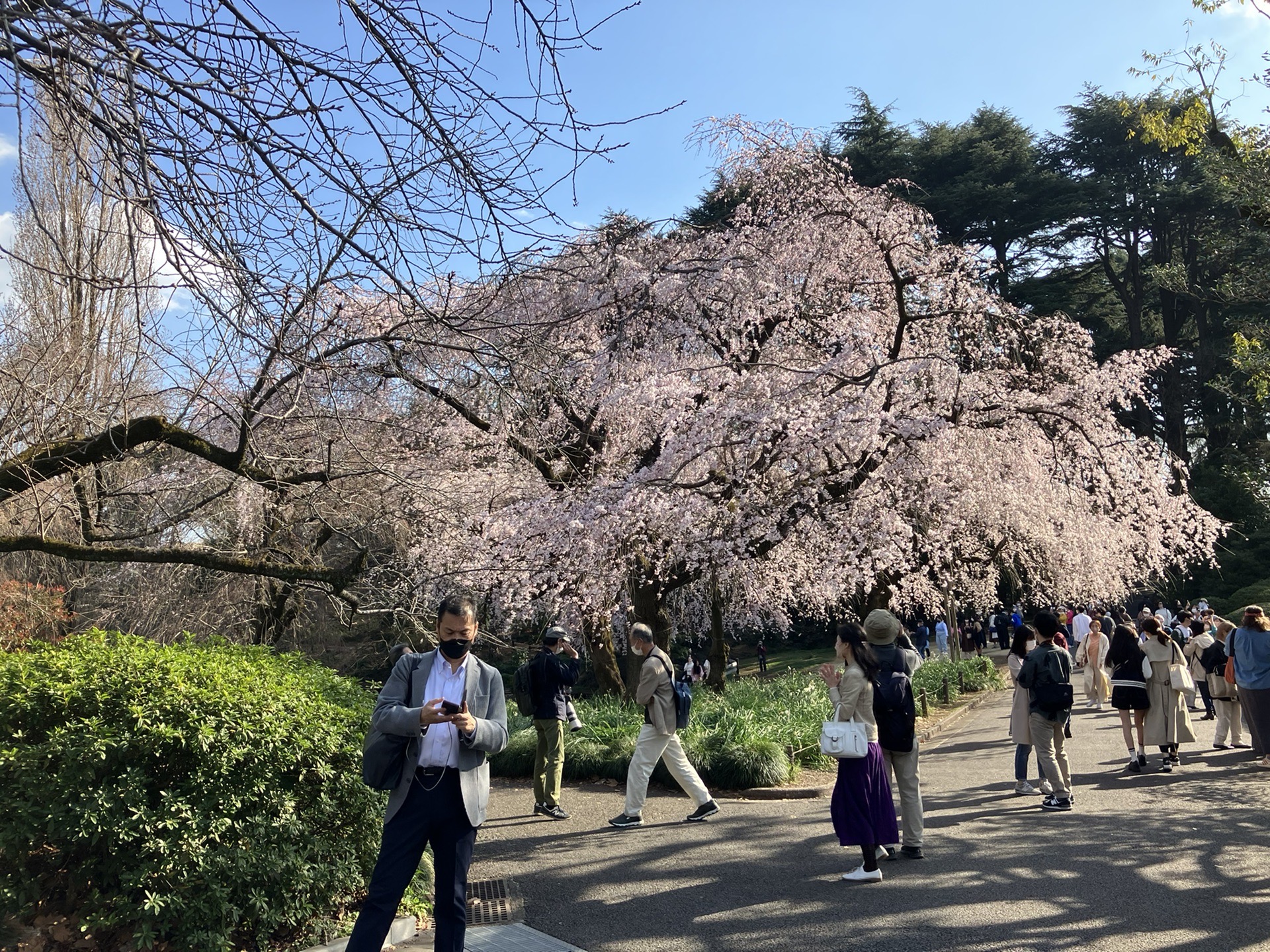 東京自助遊攻略