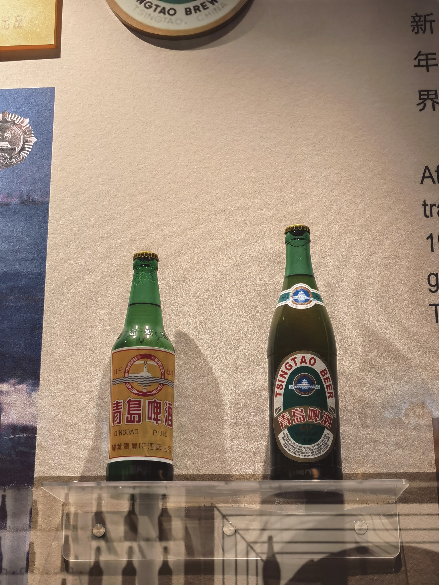 【青岛春日暴走日志】四天三夜：💨吹成海带的我们，与樱花撞个满怀🌸插图63