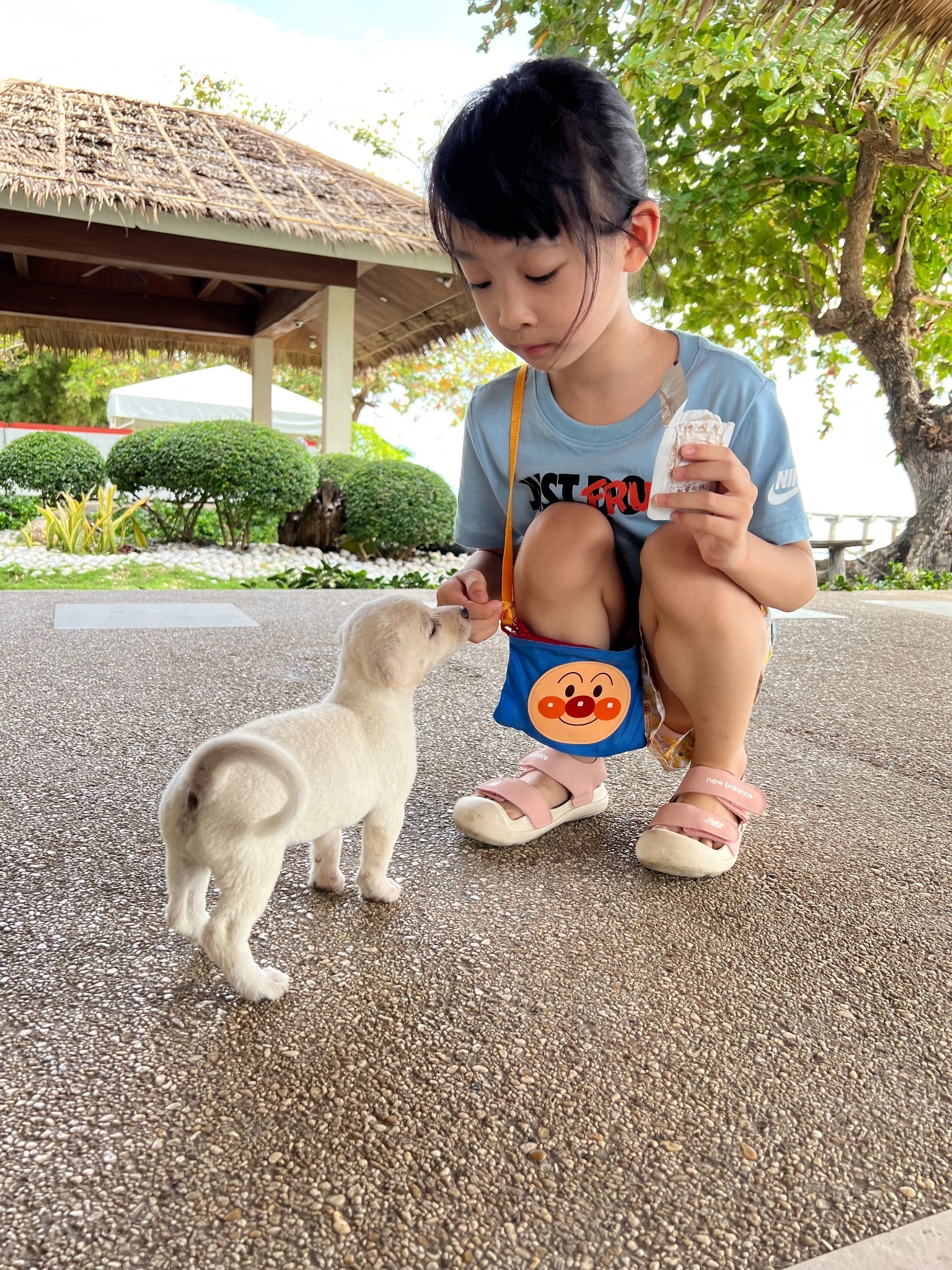 杜馬蓋地自助遊攻略