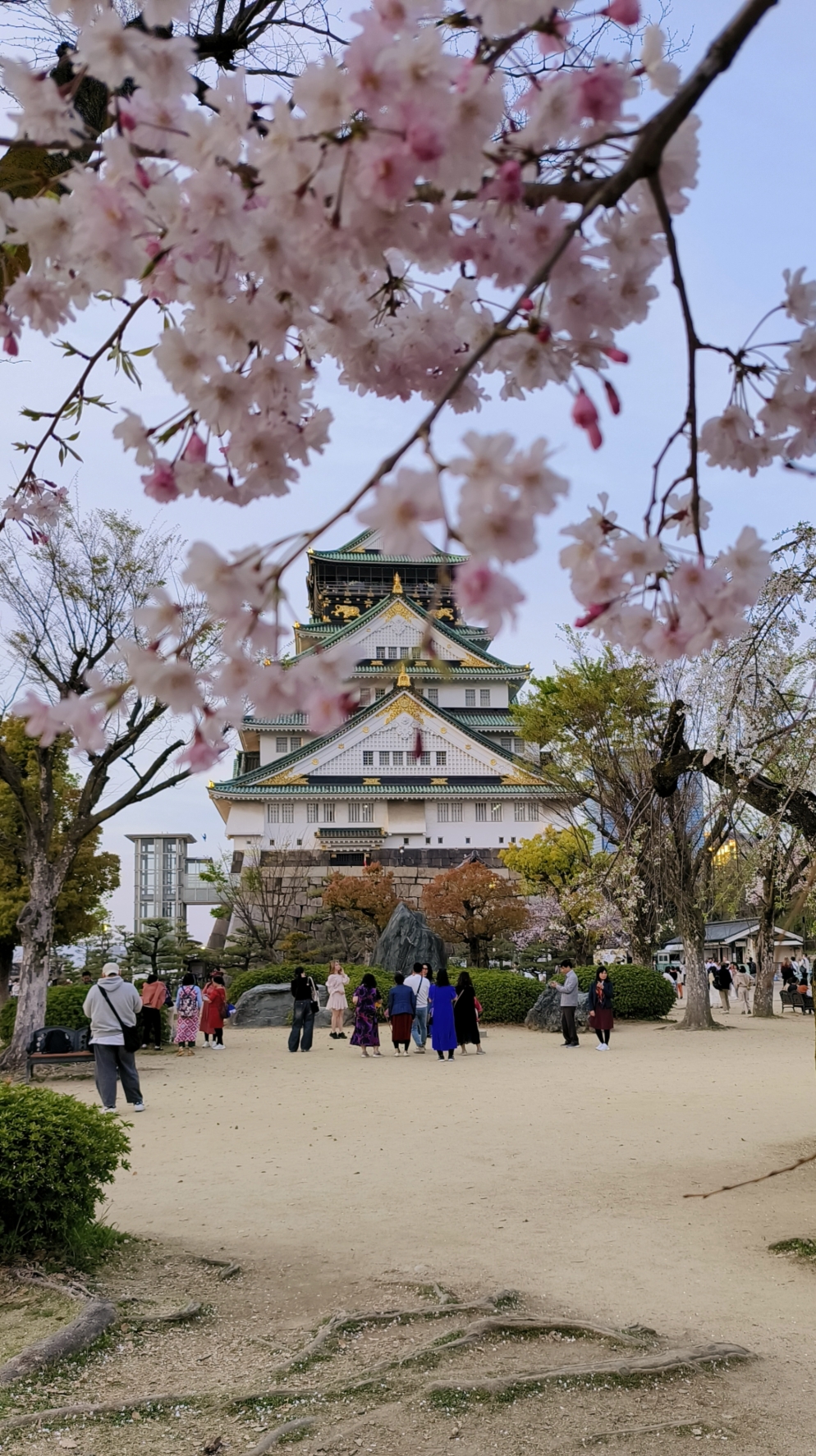 日本自助遊攻略