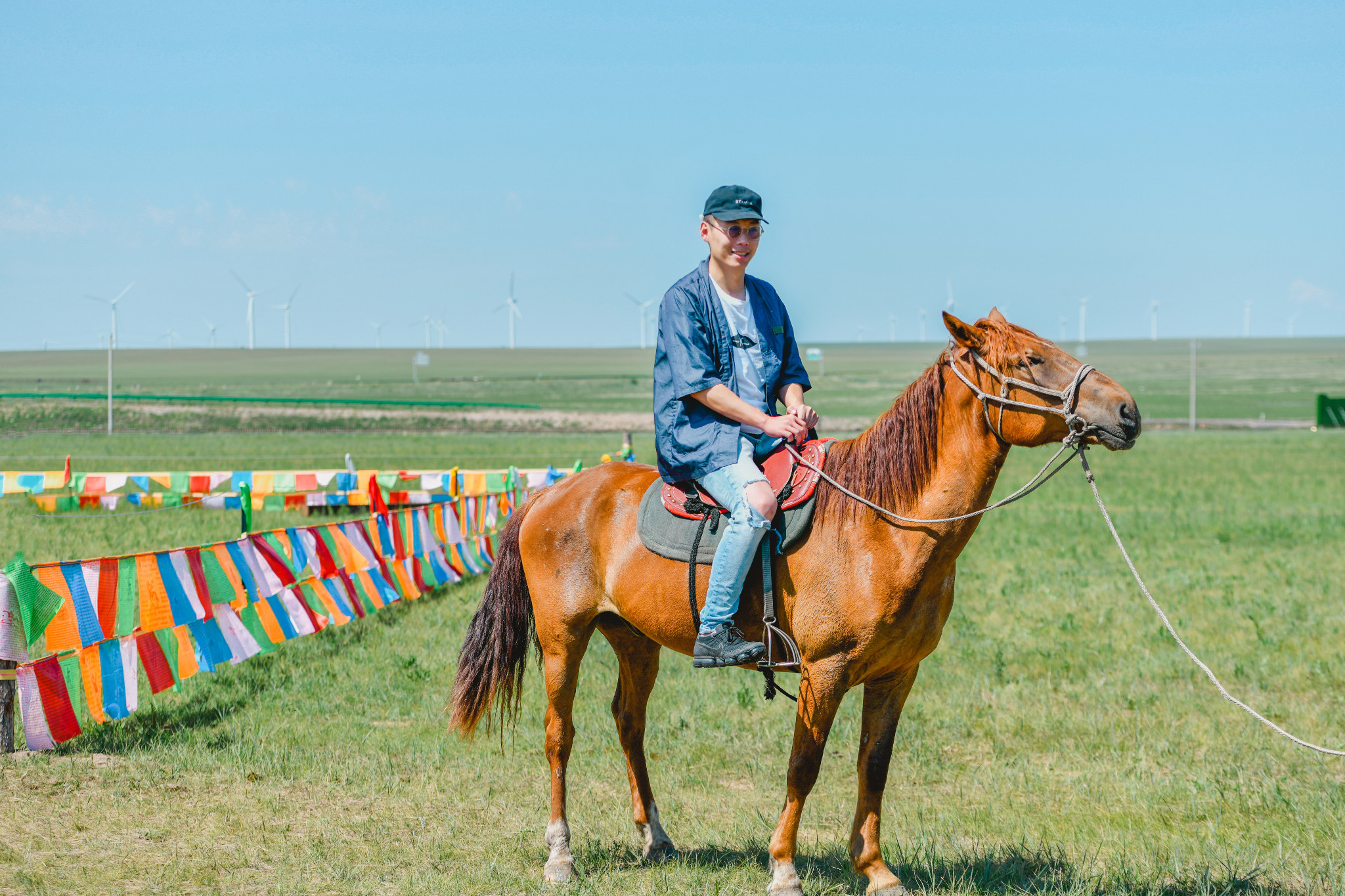 内蒙之旅夏日闯入宫崎骏笔下的呼伦贝尔大草原