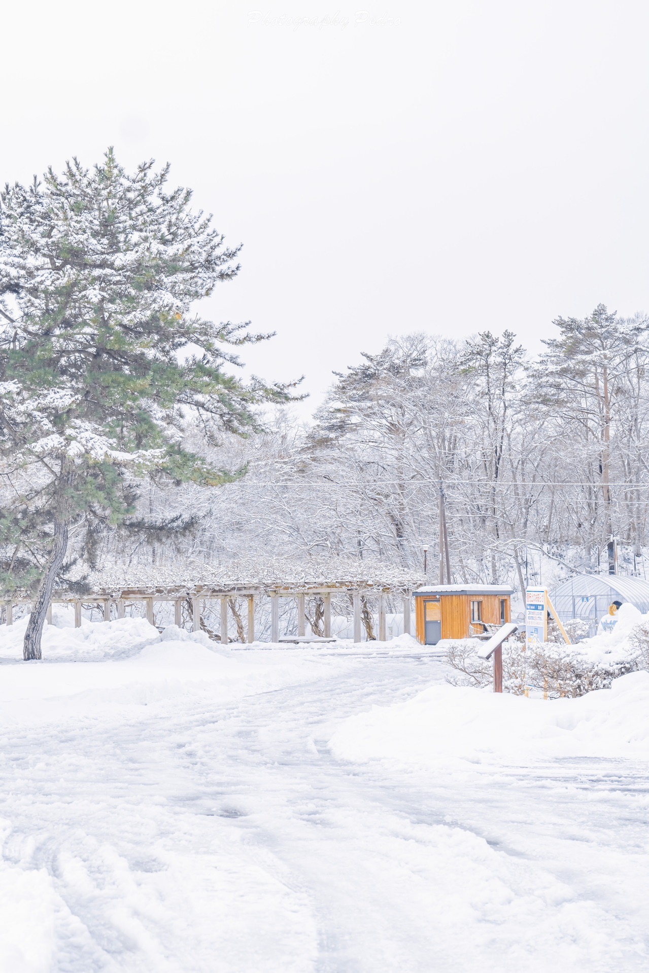 北海道自助遊攻略