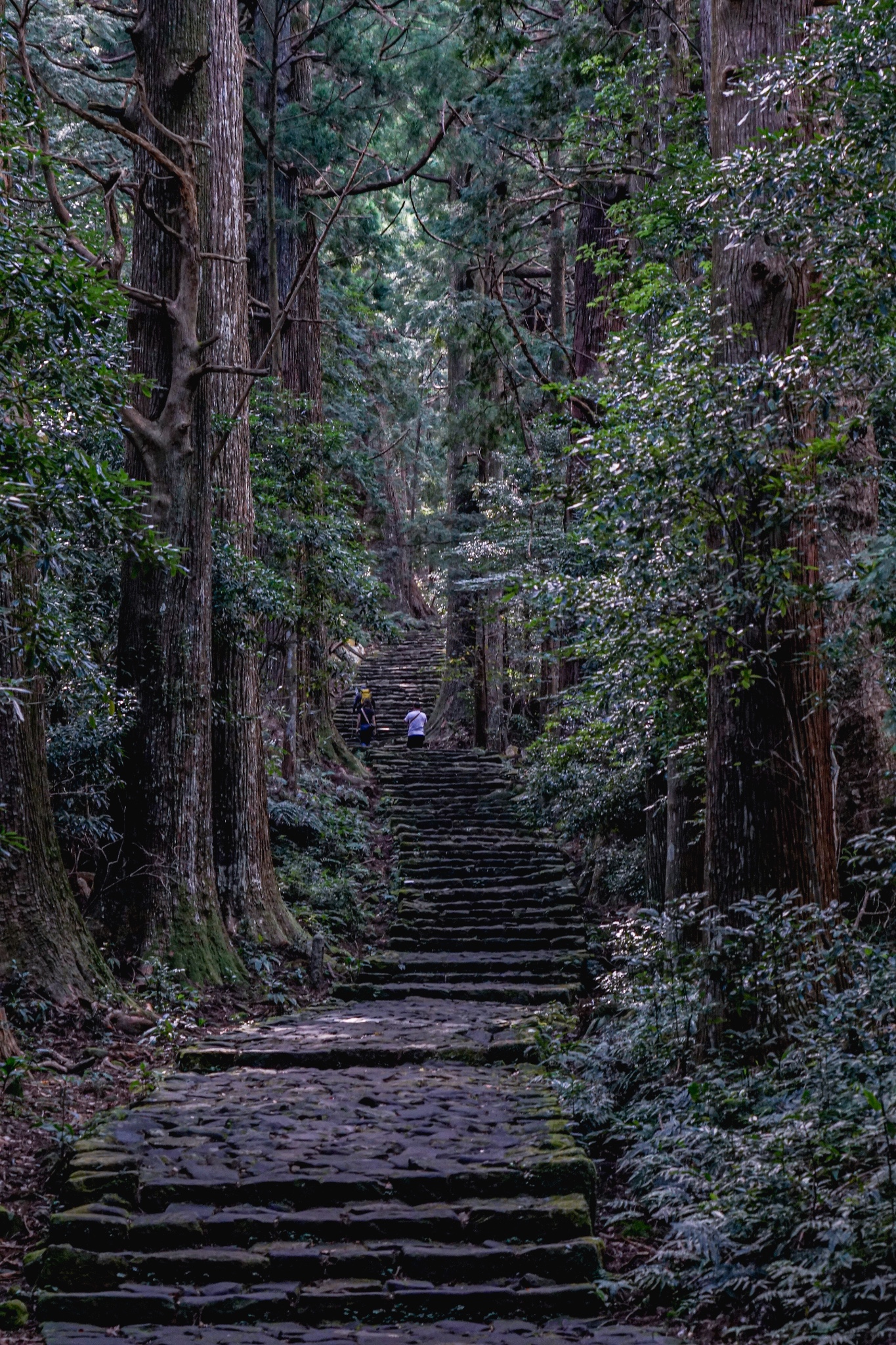 日本自助遊攻略