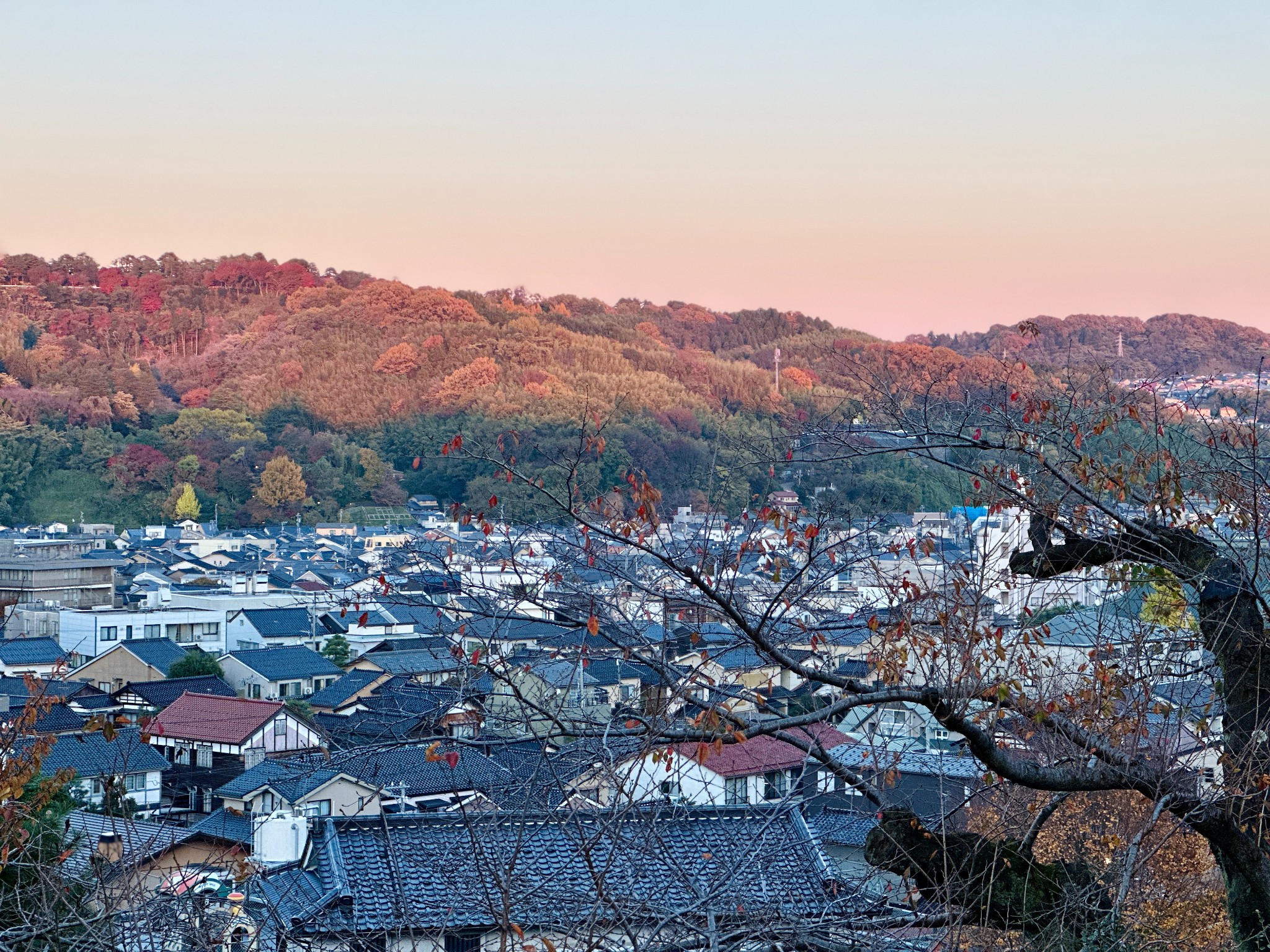 日本自助遊攻略