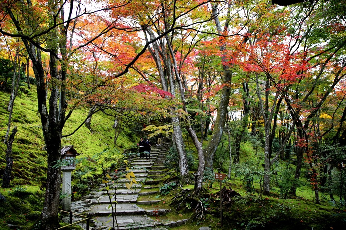 京都自助遊攻略