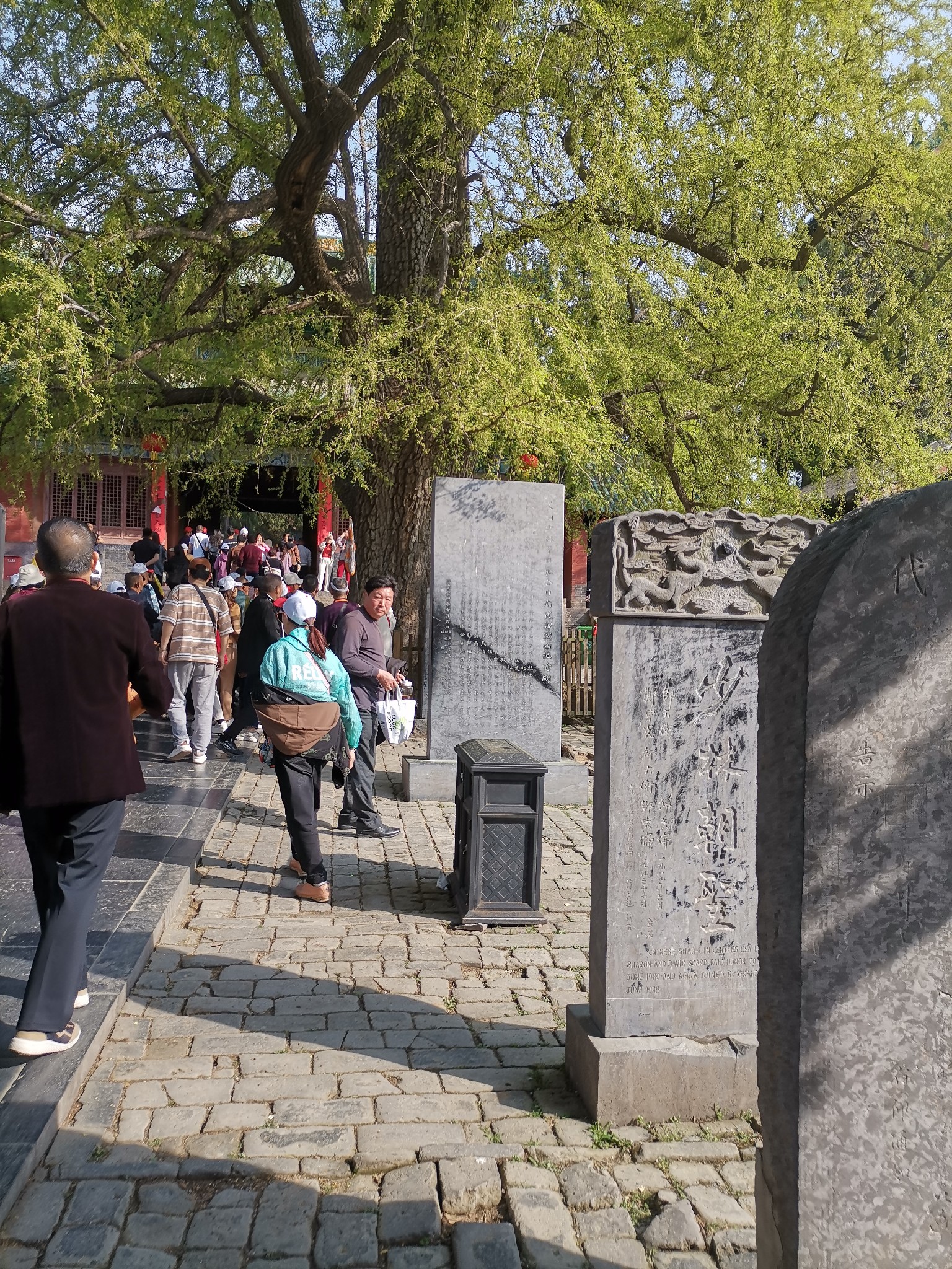 河南揽胜(一)了解少林寺,欣赏洛阳牡丹,看看古代艺术宝库:龙门石窟,快