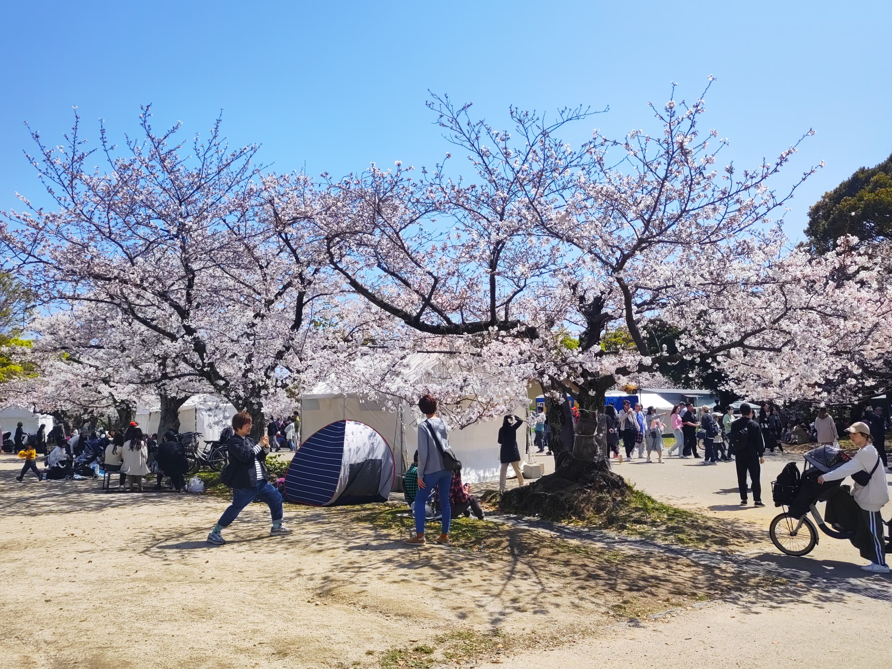 日本自助遊攻略