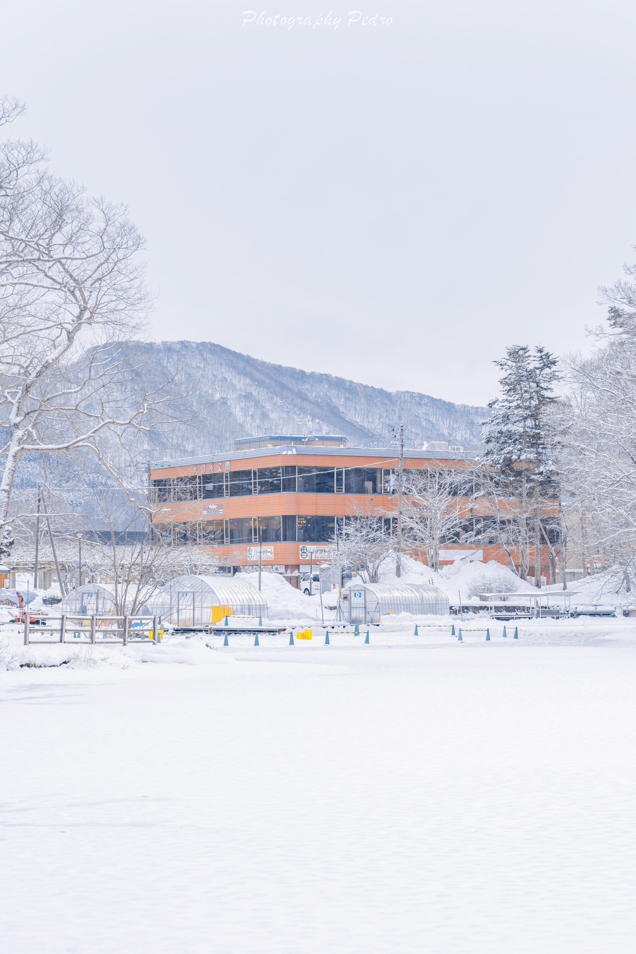 北海道自助遊攻略