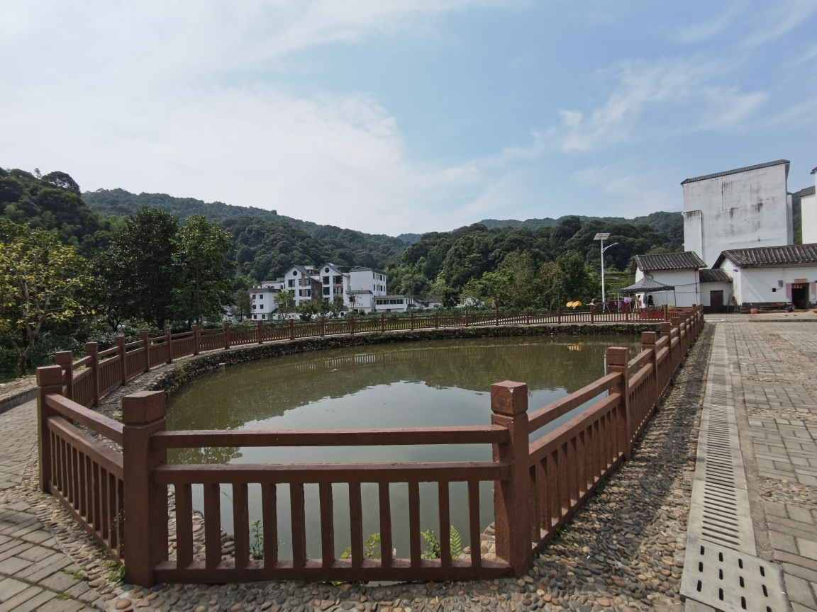 从化阿婆六茶花谷图片