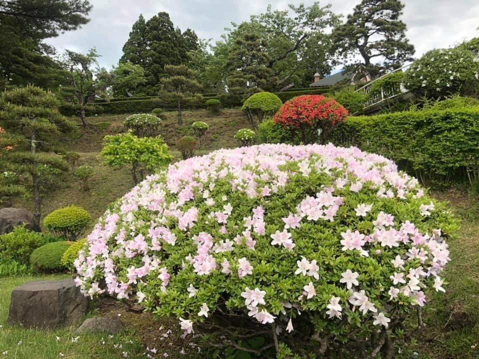 北海道自助遊攻略