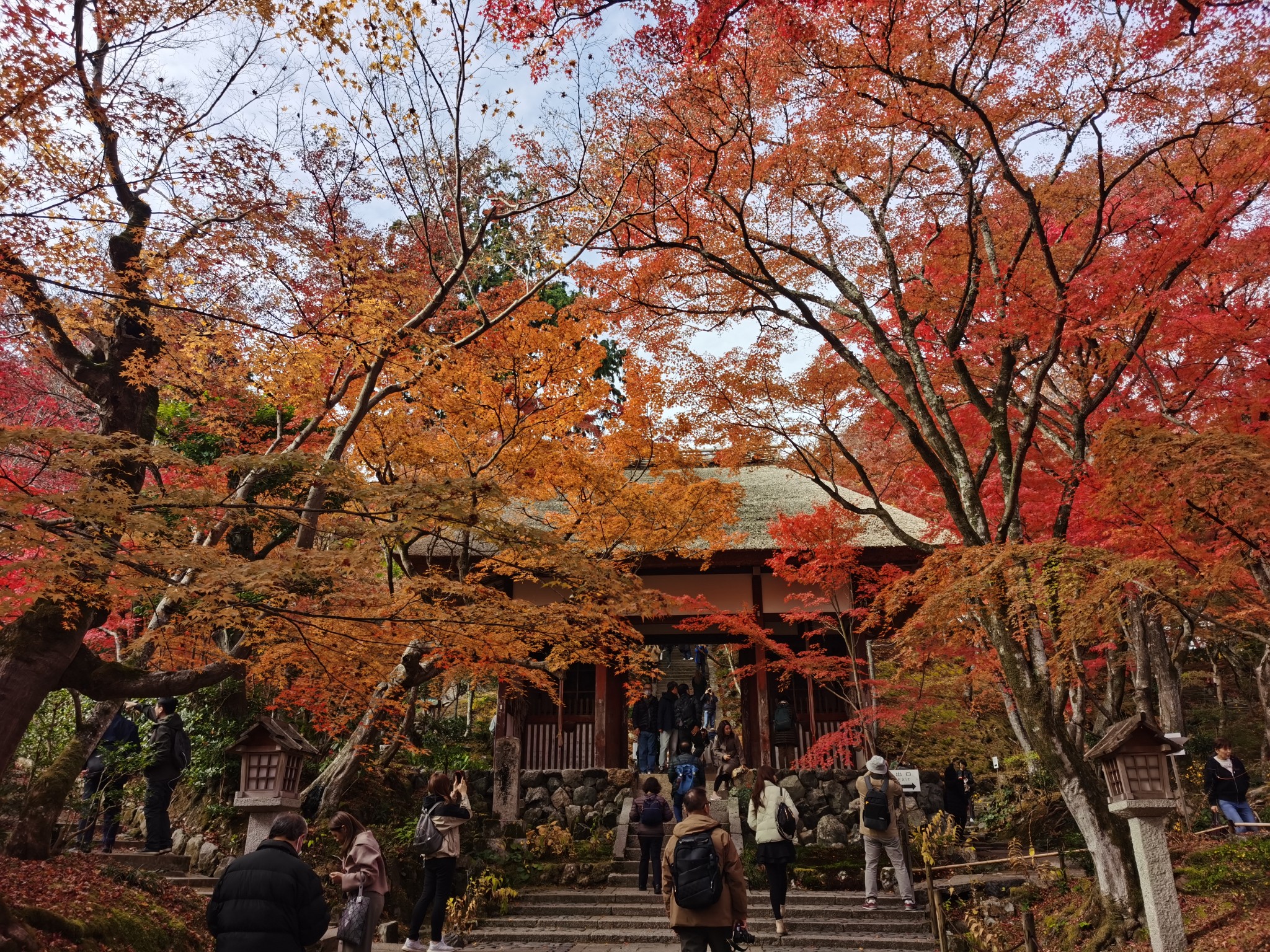 京都自助遊攻略