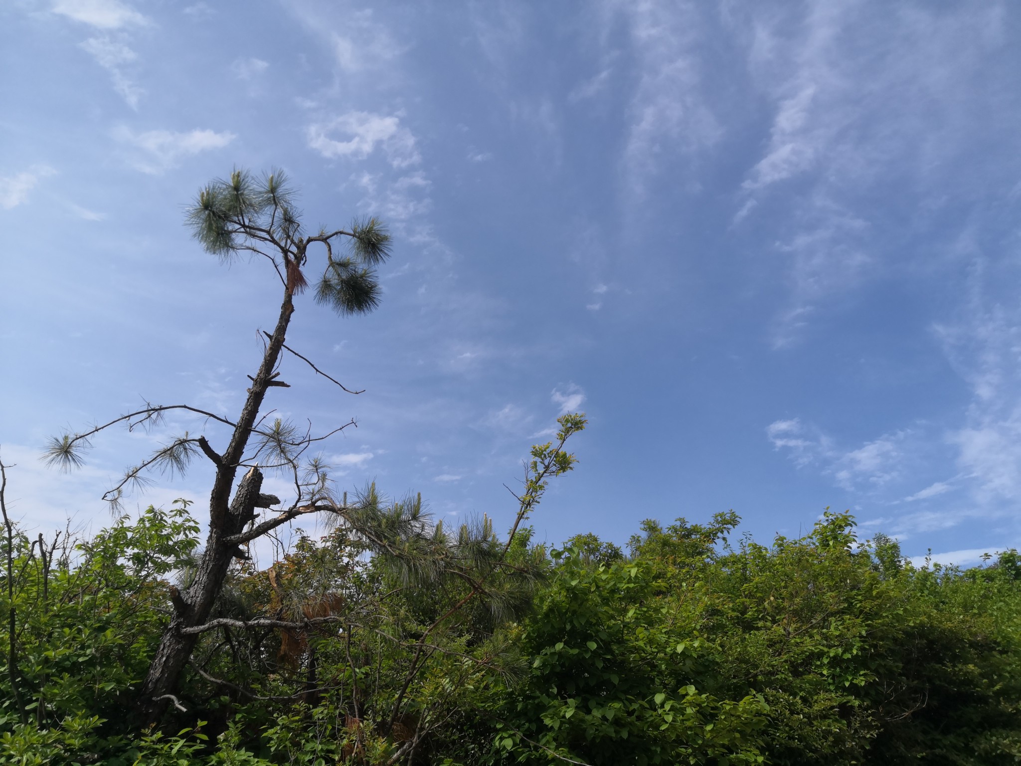 五一本地遊,登石江五丈石,重走昇華山!,豐城自助遊攻略 - 馬蜂窩