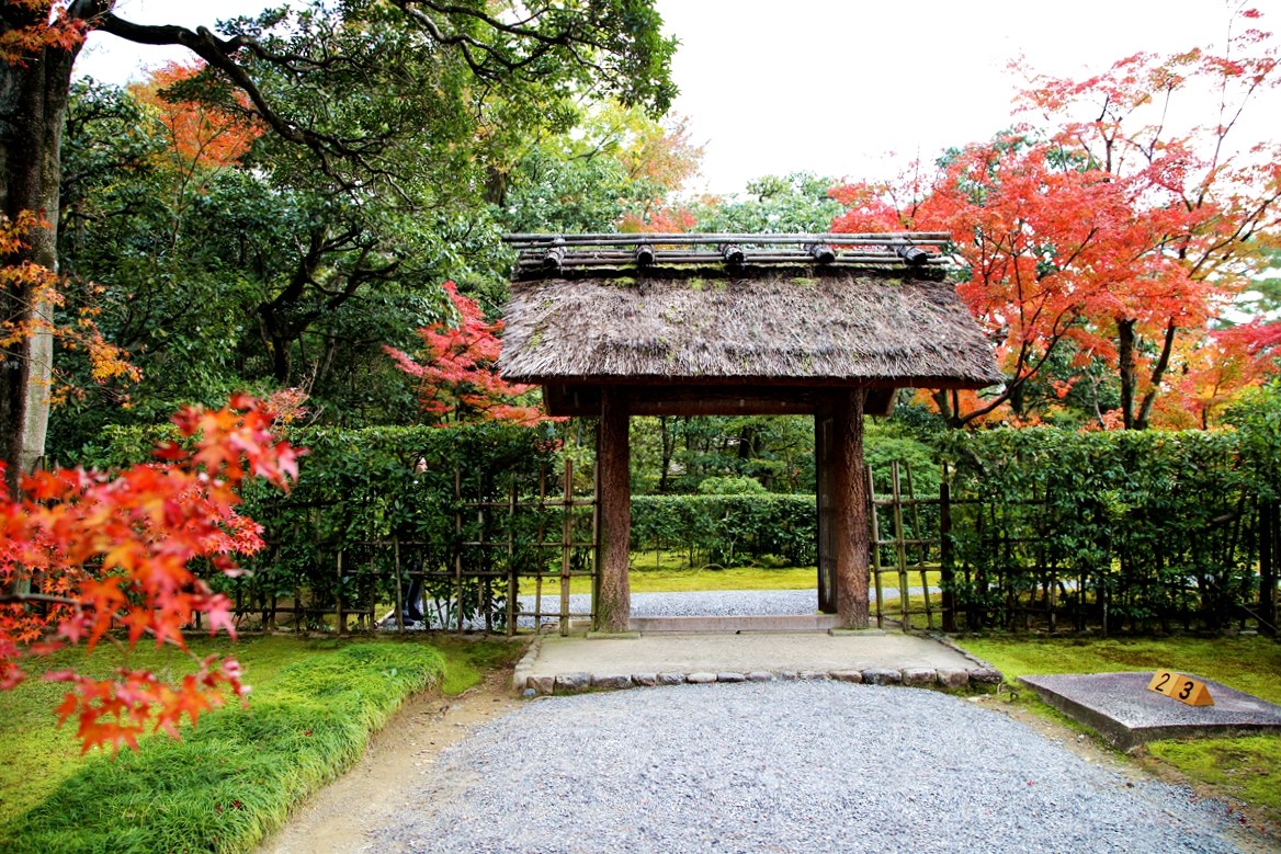 京都自助遊攻略