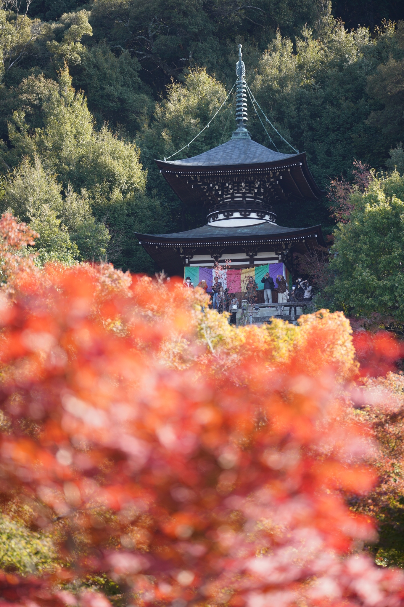 京都自助遊攻略